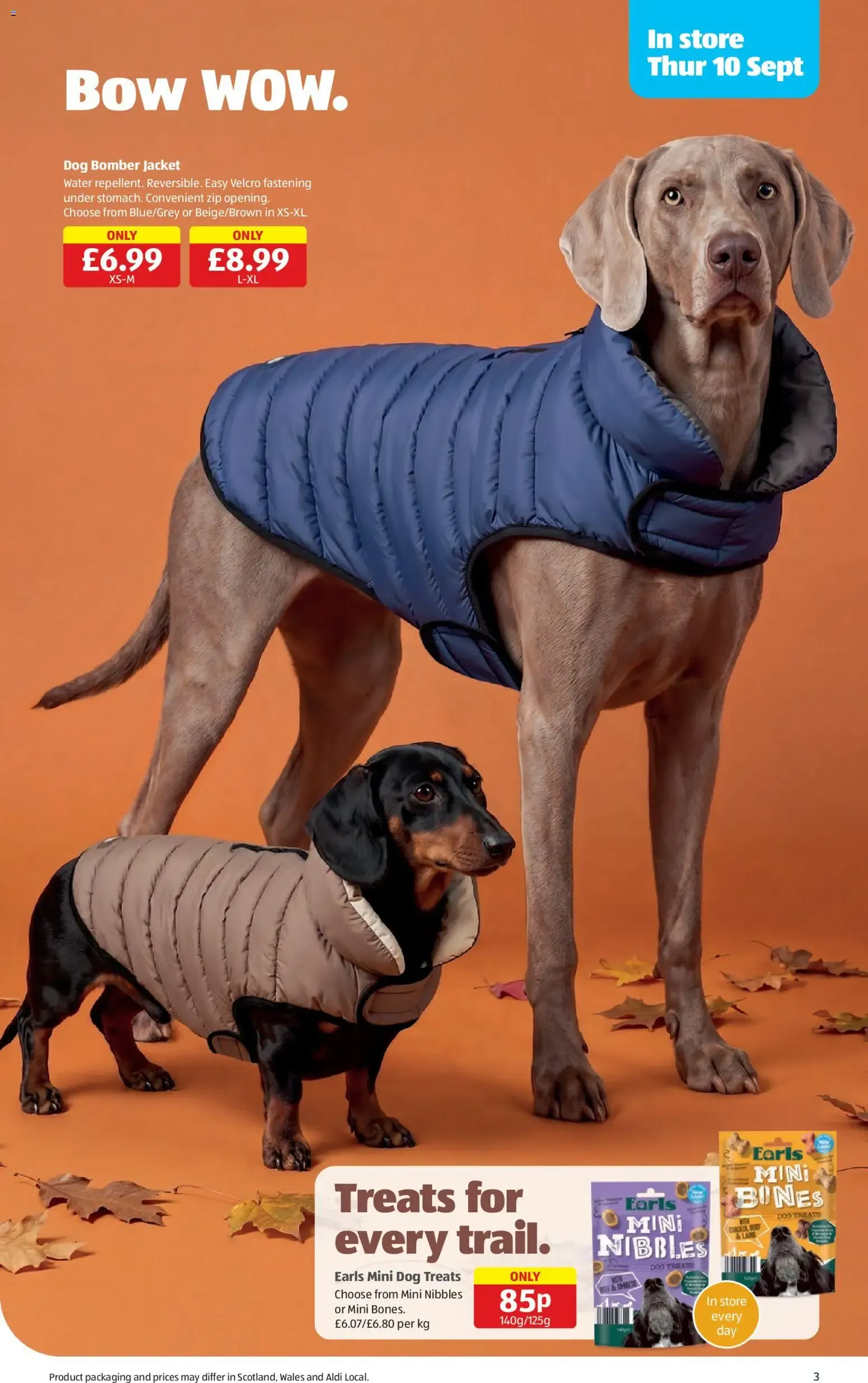 Aldi Specialbuys: Disfraces de Halloween para mascotas y ofertas from 10 September to 16 September 2026 - Catalogue Page 3