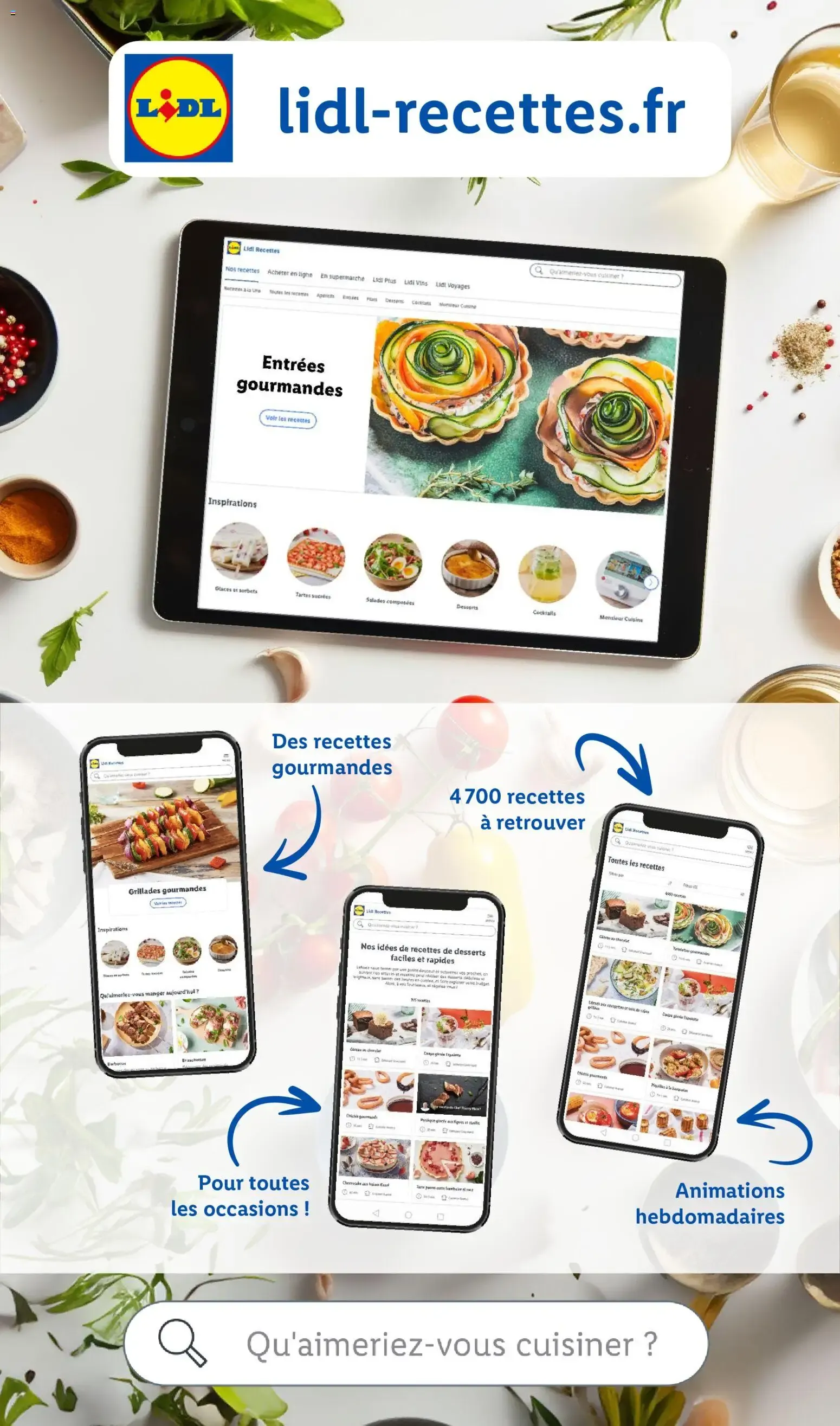 Lidl: Le Moins Toujours Plus du 22 octobre au 28 octobre 2026 - Catalogue page 13