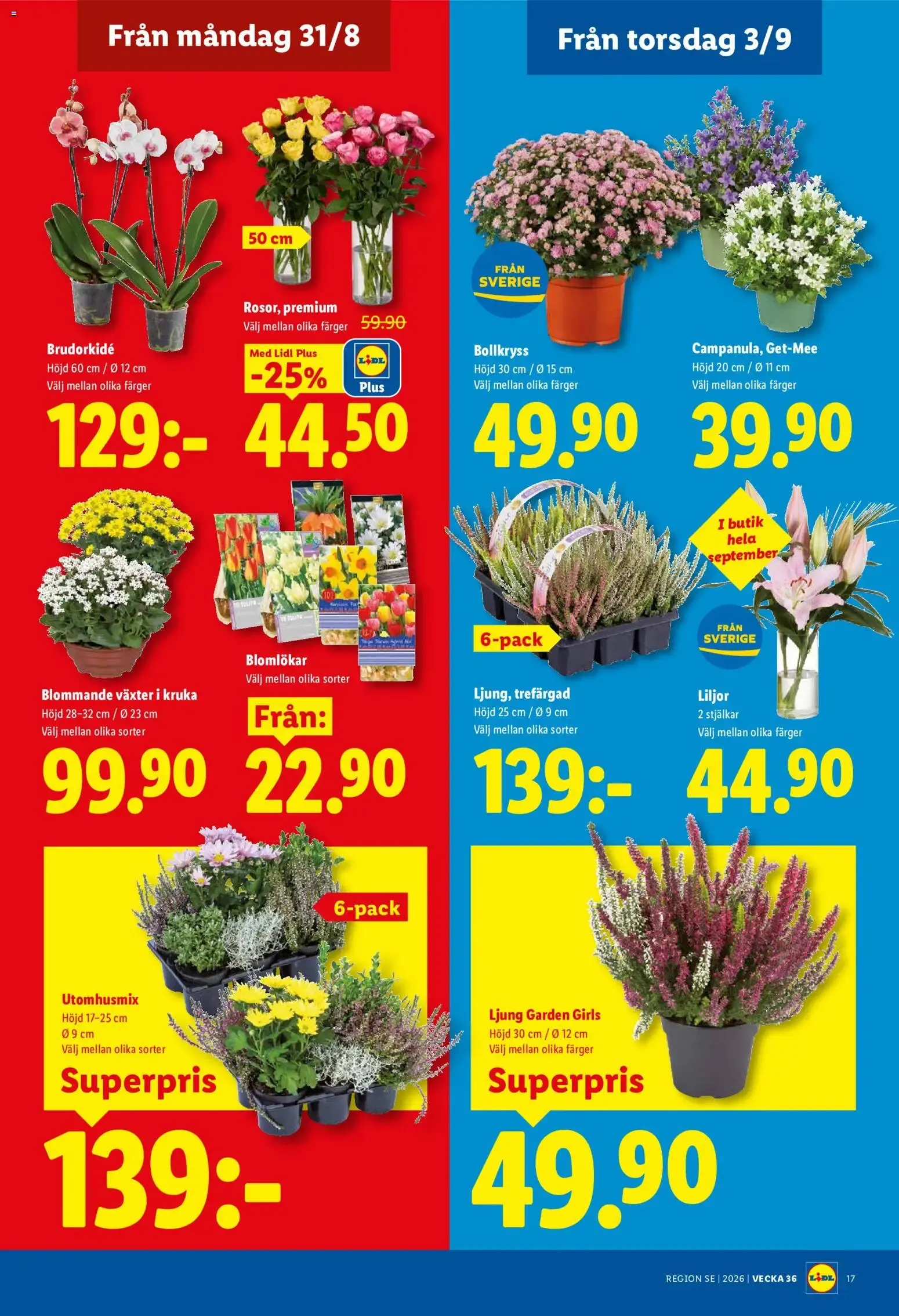 Lidl: Kvalitet till röda priser. Det lönar sig. från 31 augusti till 6 september 2026 - Reklamblad sidor 20