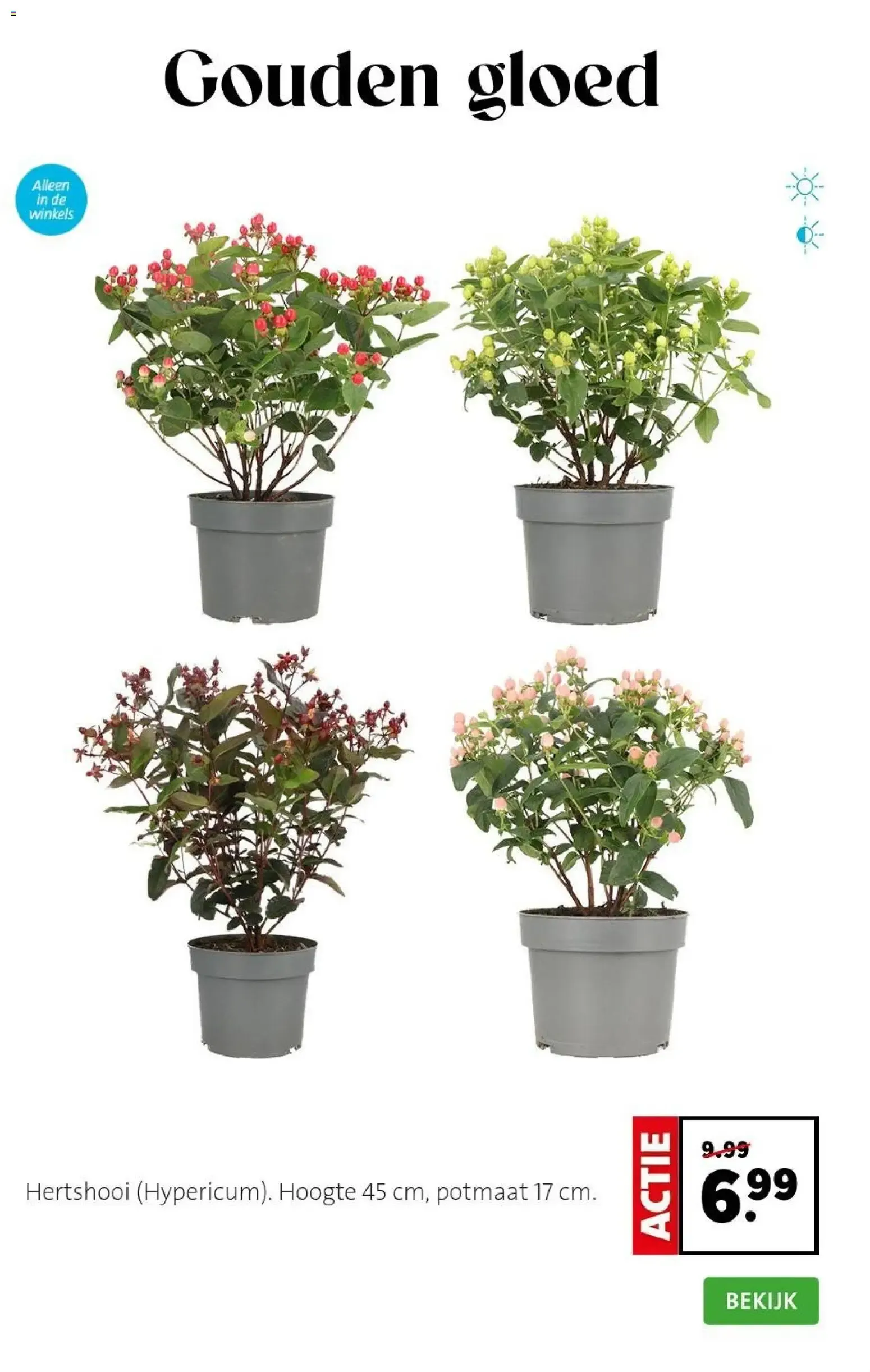 Planten-statement van 31 augustus tot 6 september 2026 - Folder pagina 3