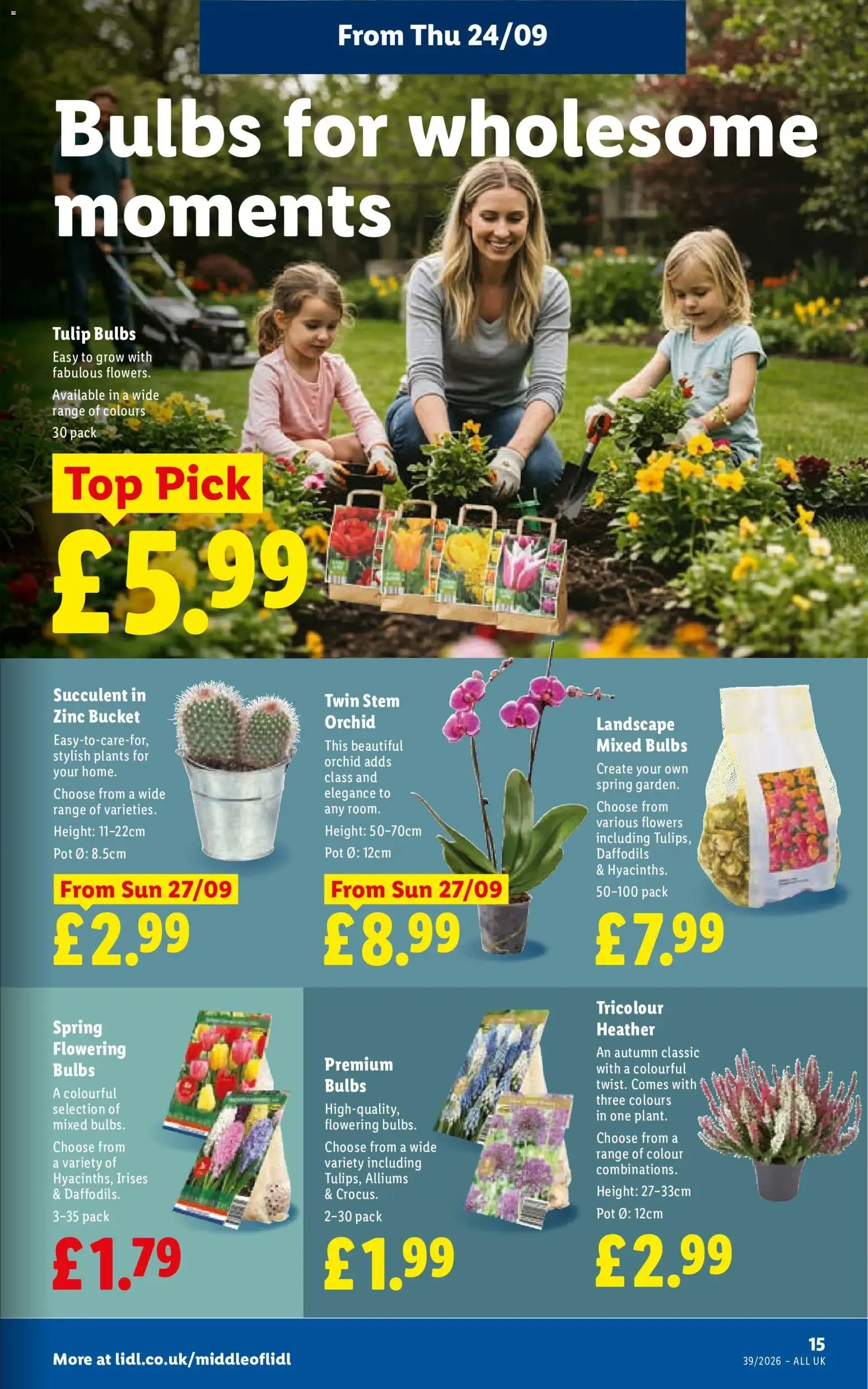 Weekly offers Lidl Wales (24/09/2026 - 30/09/2026) - Offers Online from 24 September to 30 September 2026 - Catalogue Page 17