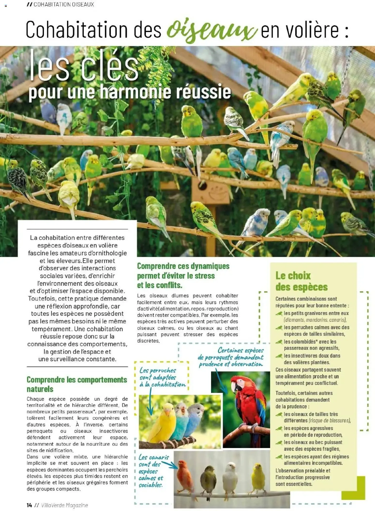 VillaVerde MAGAZINE ANIMALERIE 2026 du 28 mai au 31 août 2026 - Catalogue page 13