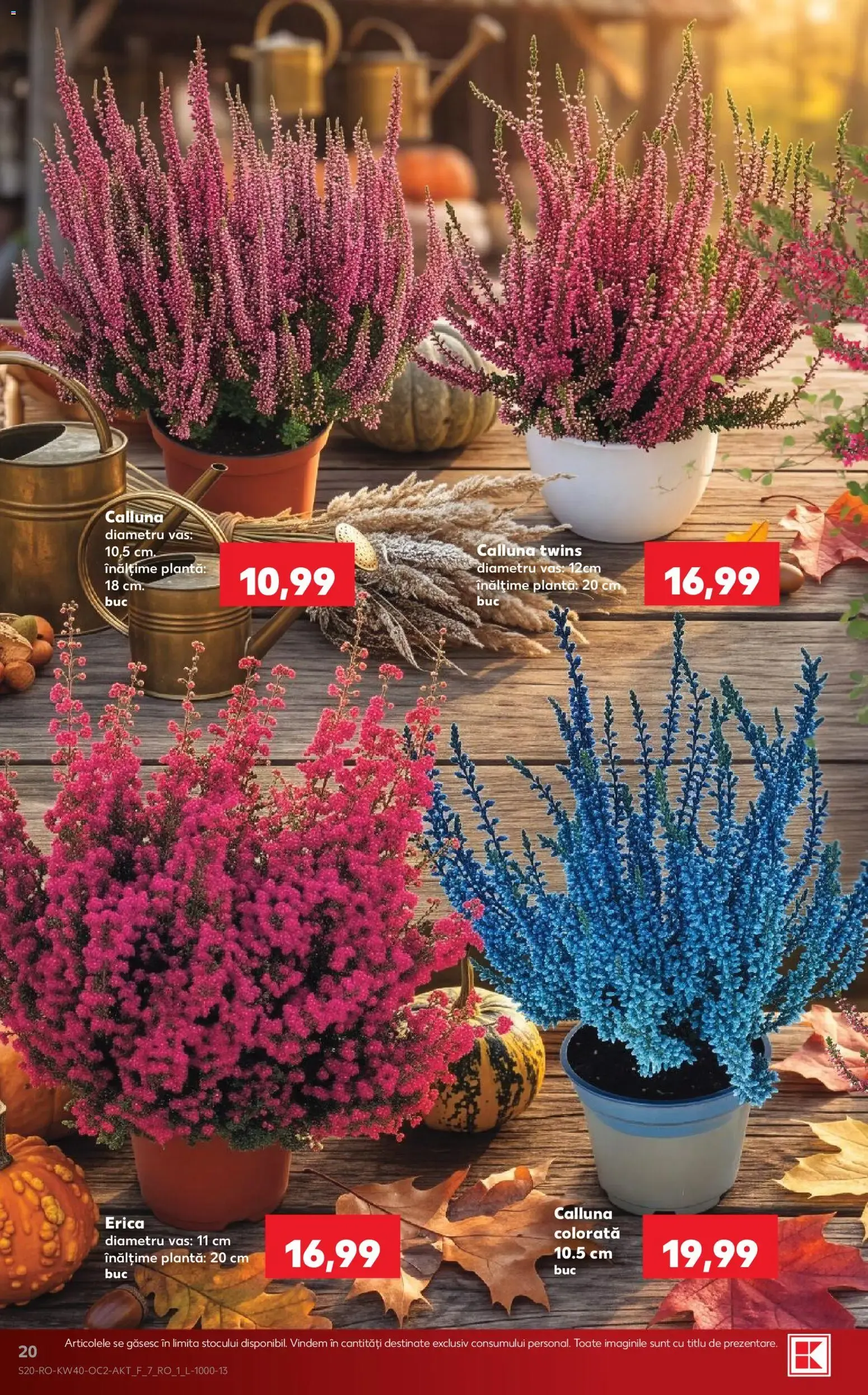 Catalog Kaufland Catalog 30.09.2026 - Revista si Oferta de la 30 septembrie până la 6 octombrie 2026 - Revista Pagina 20