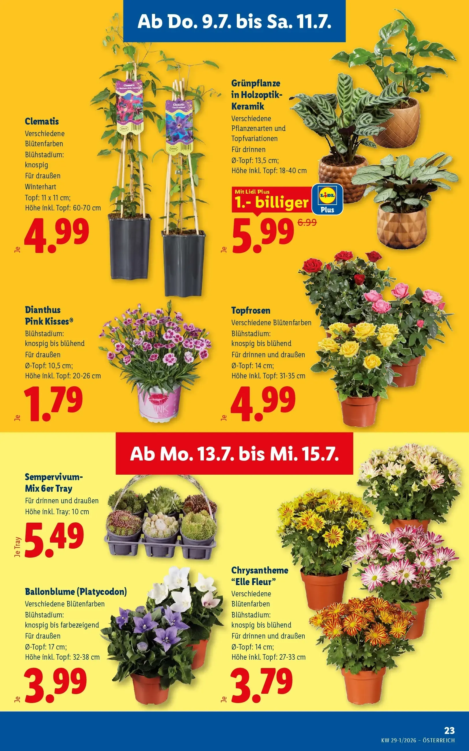 Lidl - Aktion ab 09.07. von 9. Juli bis 11. Juli 2026 - Flugblätt seite  27