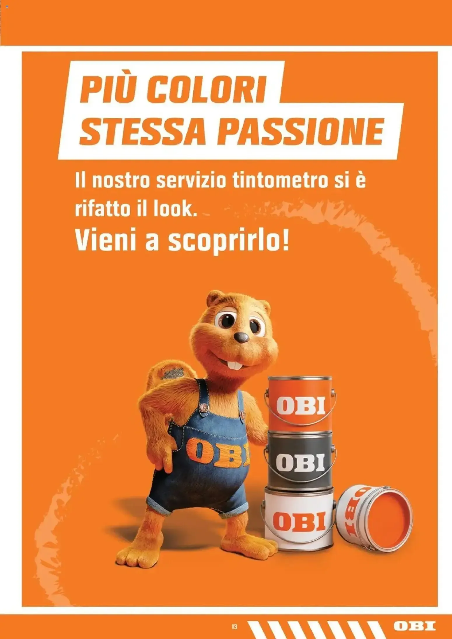 OFFERTE DEL MESE: NATI PER LA STAGIONE ARANCIONE da 15 ottobre a 8 novembre di 2026 - Pagina del volantino 13