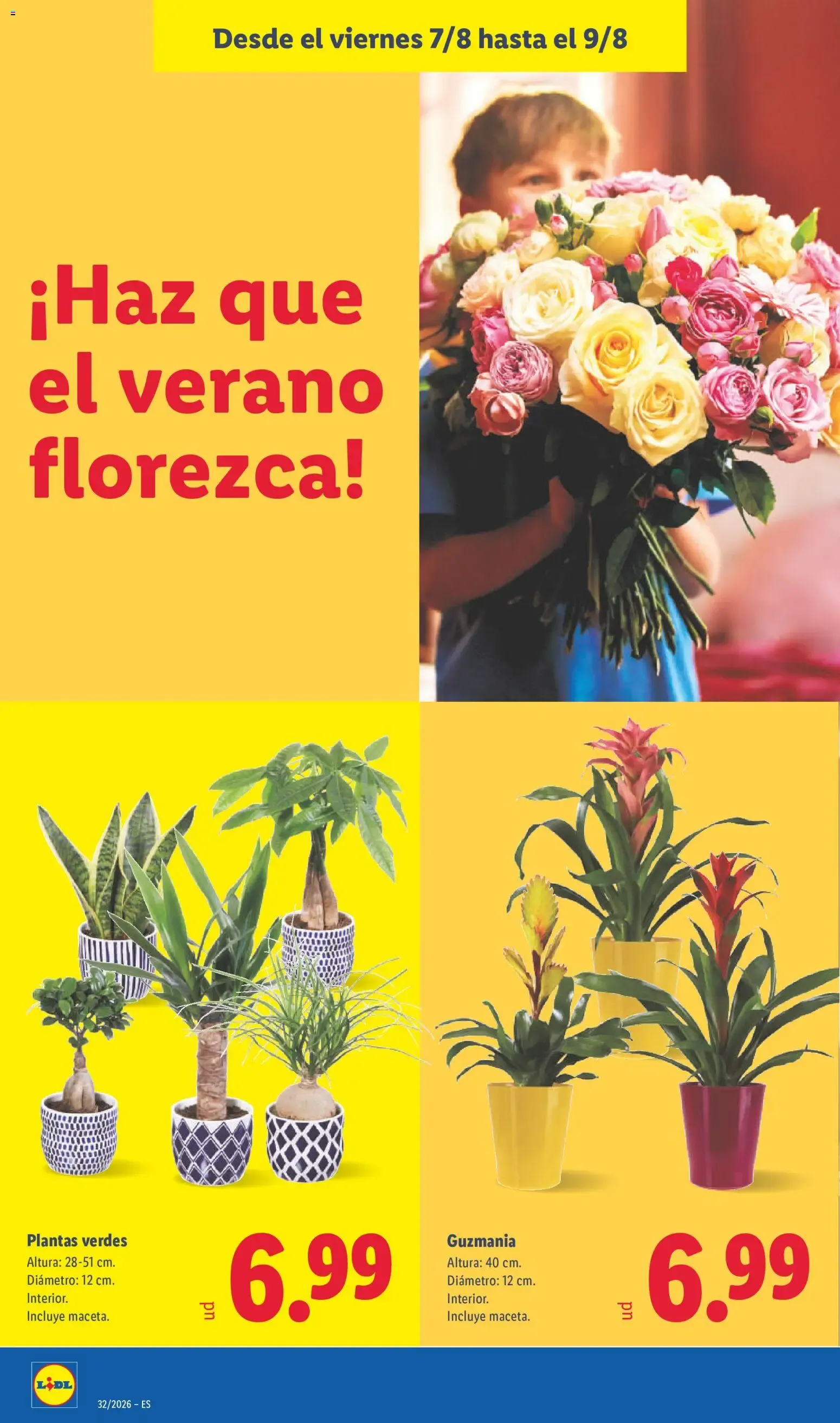 Catálogo de Lidl folleto del 03/08/2026 | Ofertas 3 de agosto al 9 de agosto 2026 - Página 58