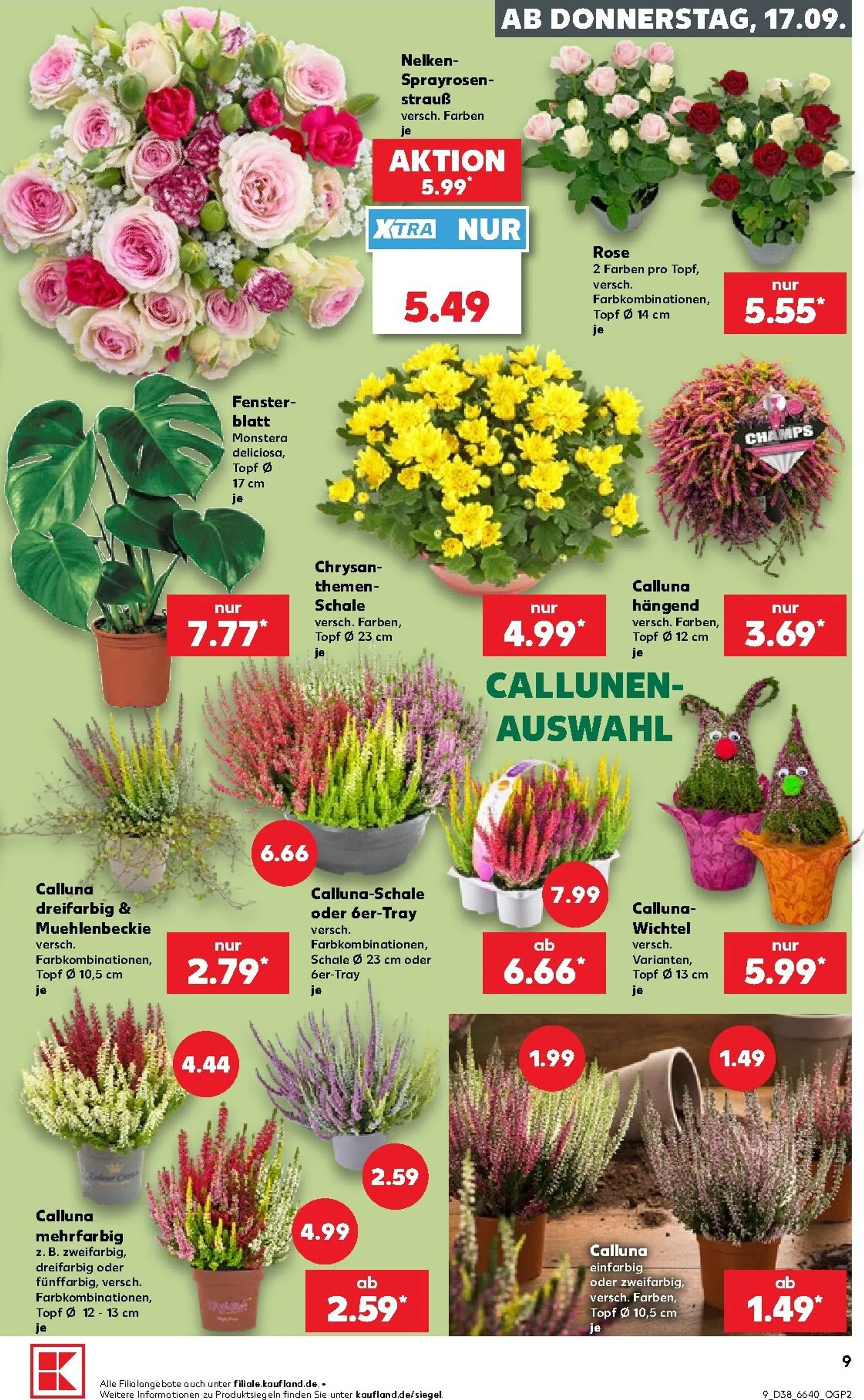 Neuer Kaufland Prospekt – von Donnerstag 17.09.2026 bis Mittwoch 23.09.2026 von 17. September bis 23. September 2026 - Prospekt seite 10