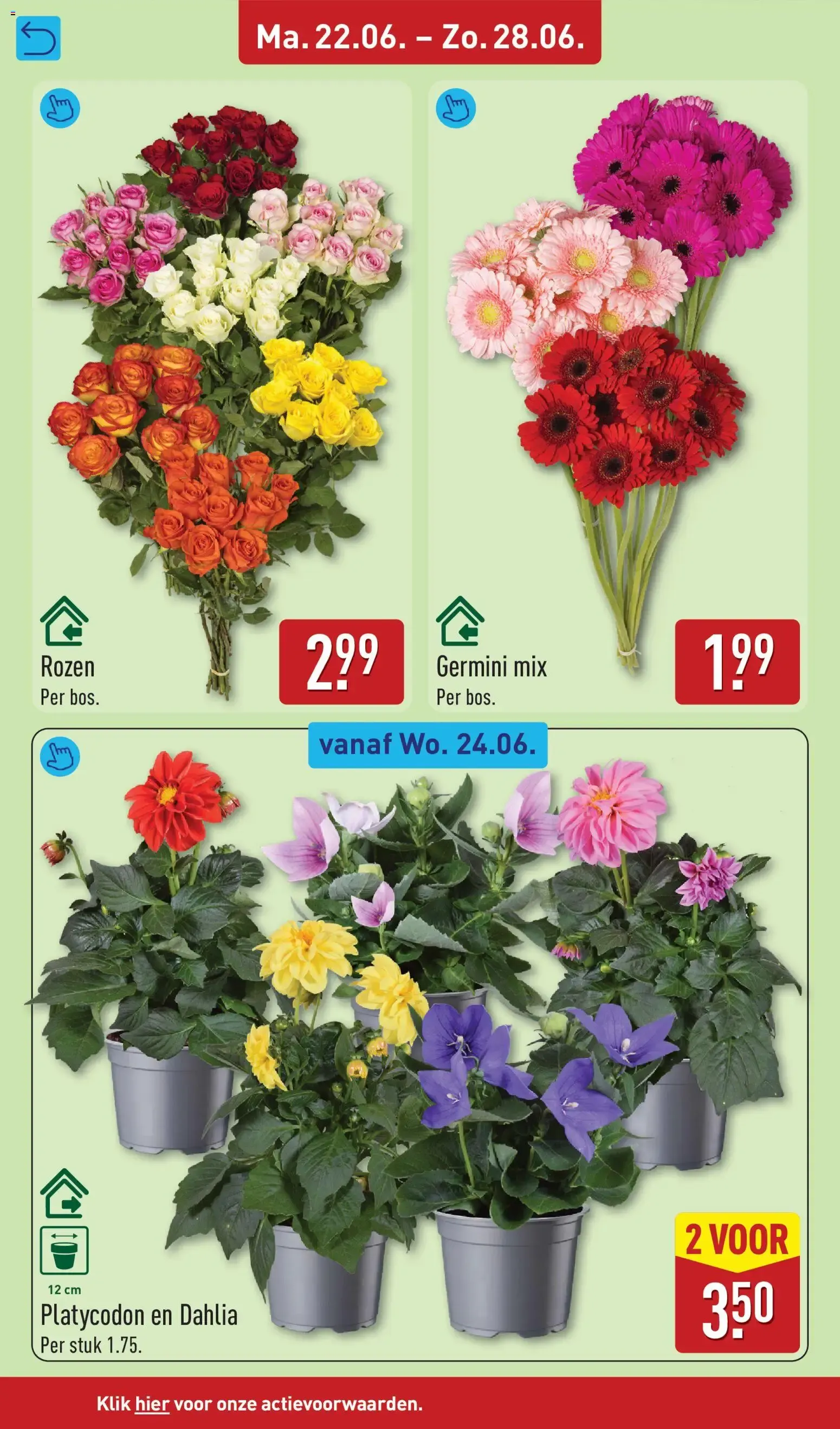 Aldi folder vanaf 22-06-2026 (volgende, deze week) van 22 juni tot 28 juni 2026 - Folder pagina 38