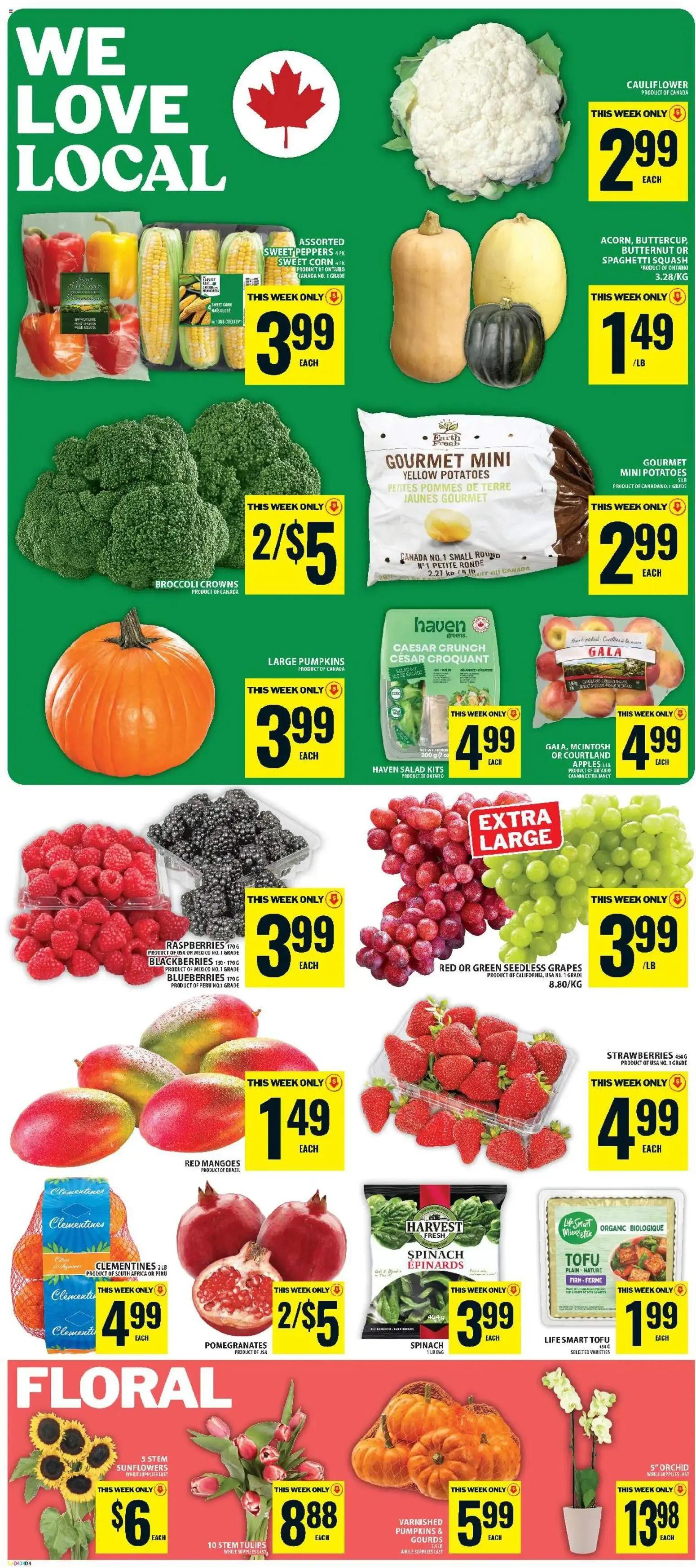 Food Basics weekly flyer / circulaire from Sep 24, 2026 > weekly specials & deals from September 24 to September 30 2026 - flyer page 3
