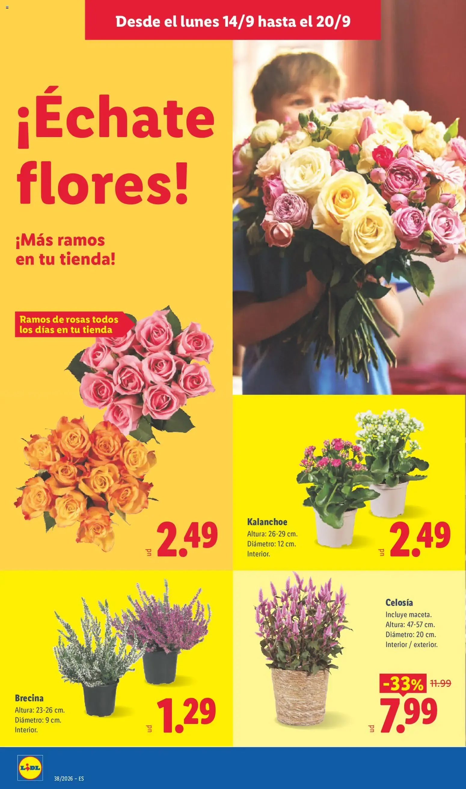 Catálogo de Lidl: Elige el N°1 en calidad-precio 14 de septiembre al 20 de septiembre 2026 - Página 48