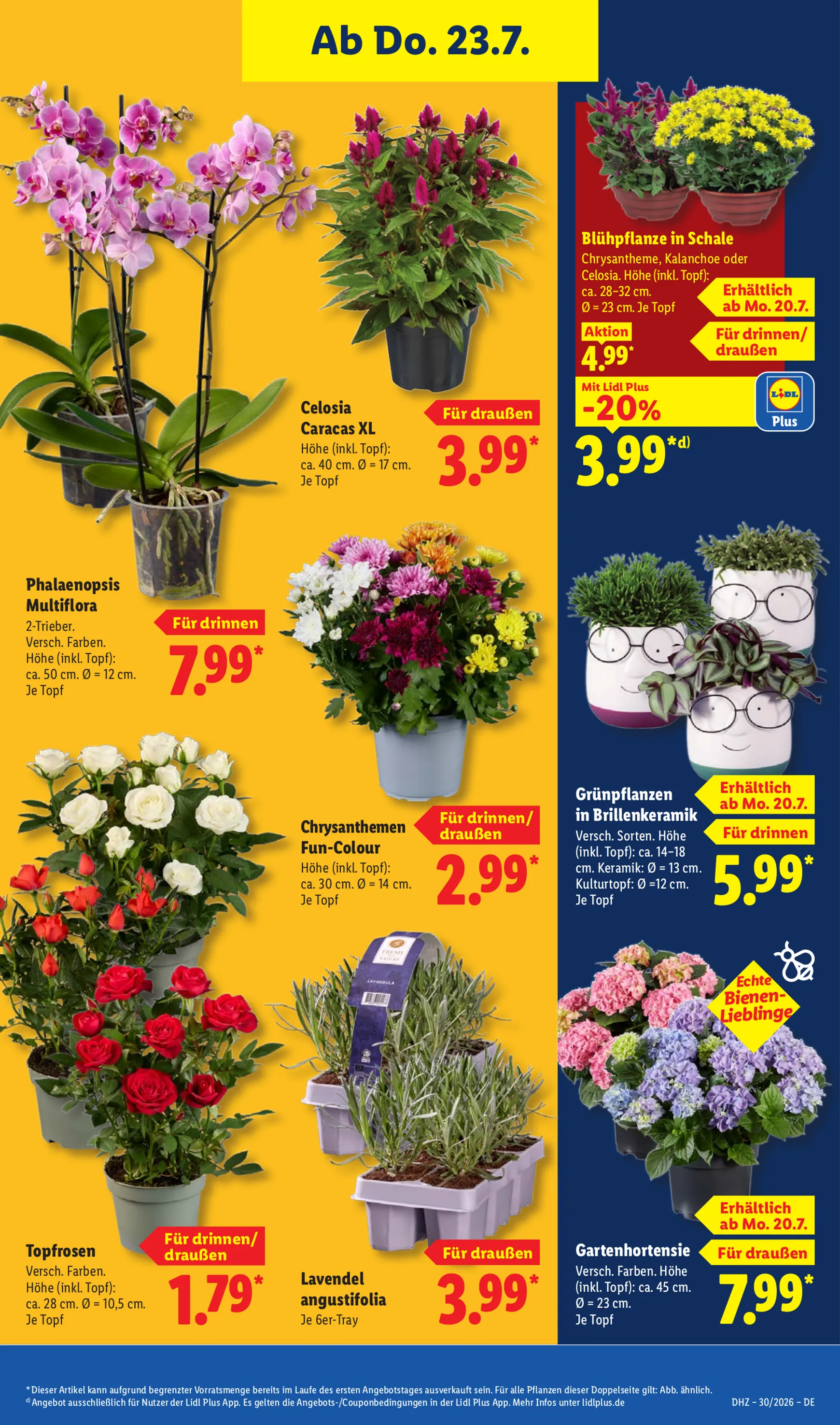 Lidl: Sparen beim Preisführer von 20. Juli bis 25. Juli 2026 - Prospekt seite 30
