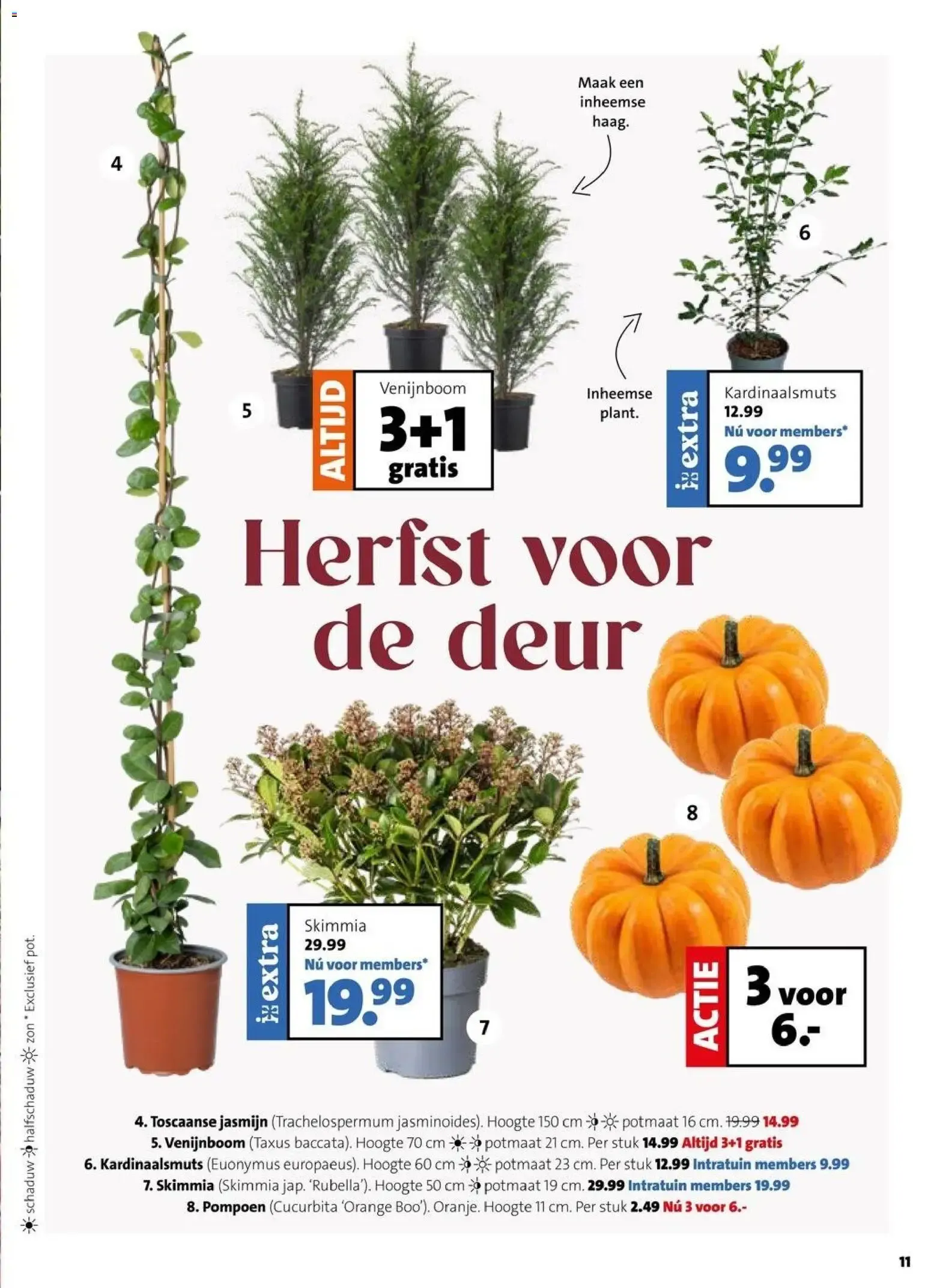 Intratuin: Feest voor ieder beest! Krabpalen 25% korting van 28 september tot 4 oktober 2026 - Folder pagina 7
