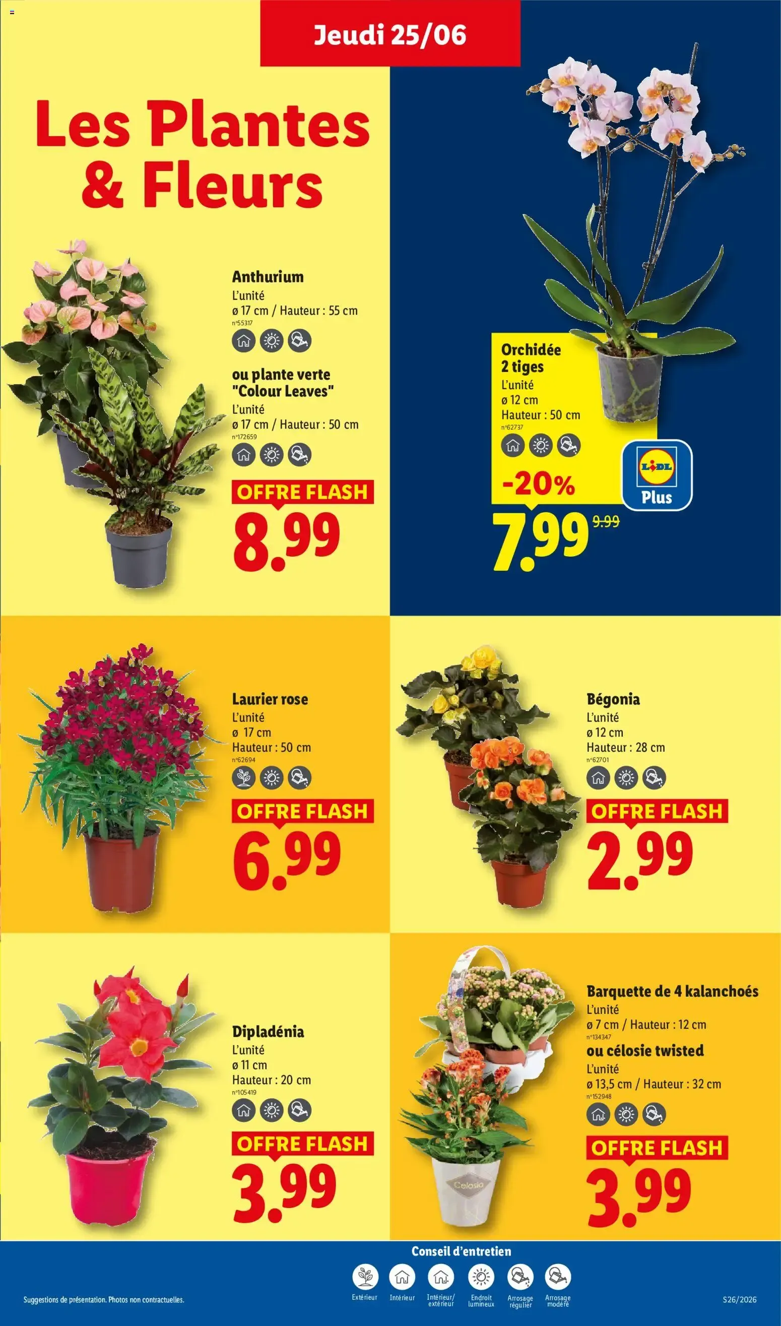 Catalogue LIDL du 25/06/2026 | Promo prospectus en ligne du 25 juin au 1 juillet 2026 - Catalogue page 29