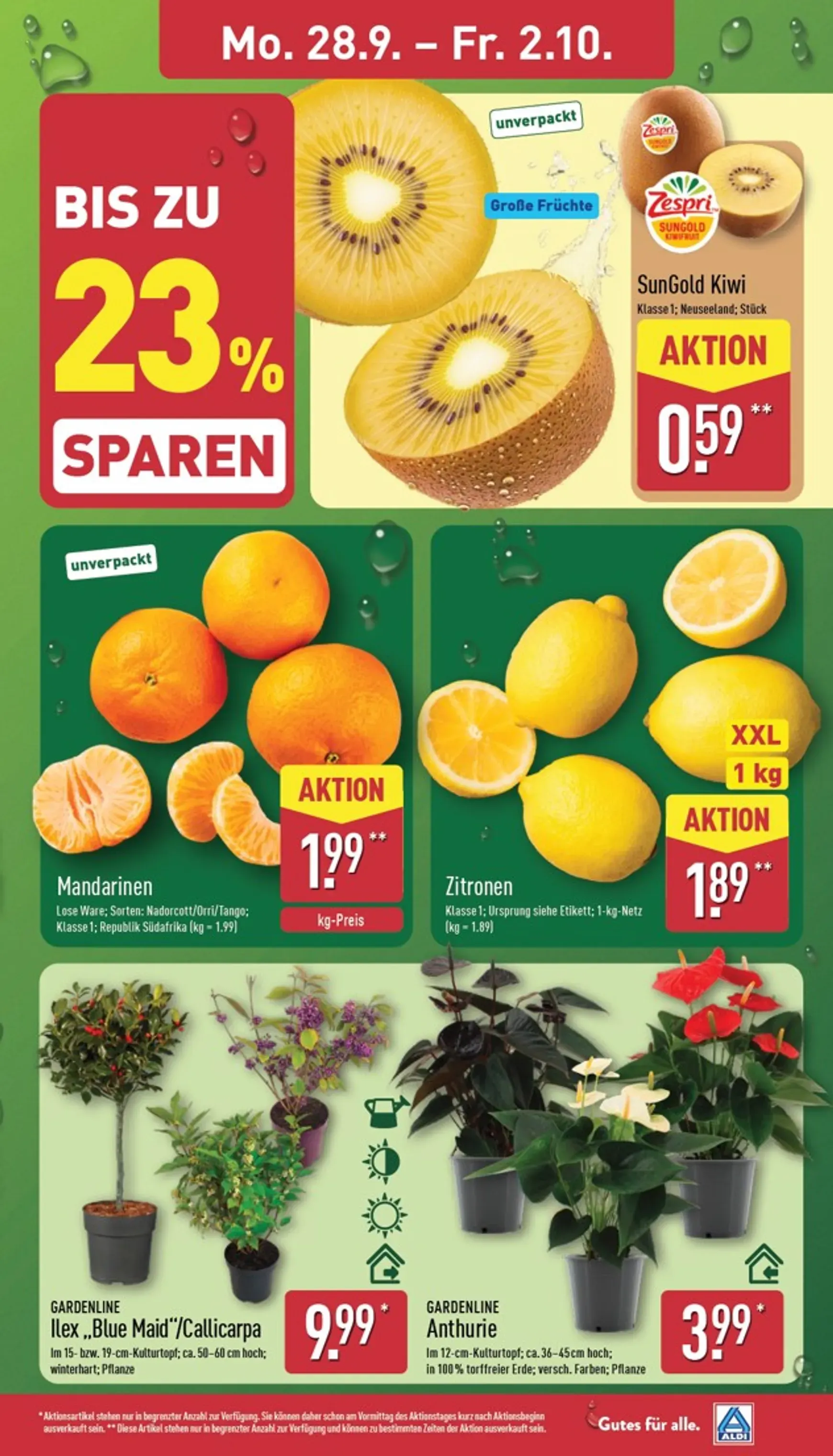 ALDI: XXL Zum Aldi Preis von 28. September bis 2. Oktober 2026 - Prospekt seite 3