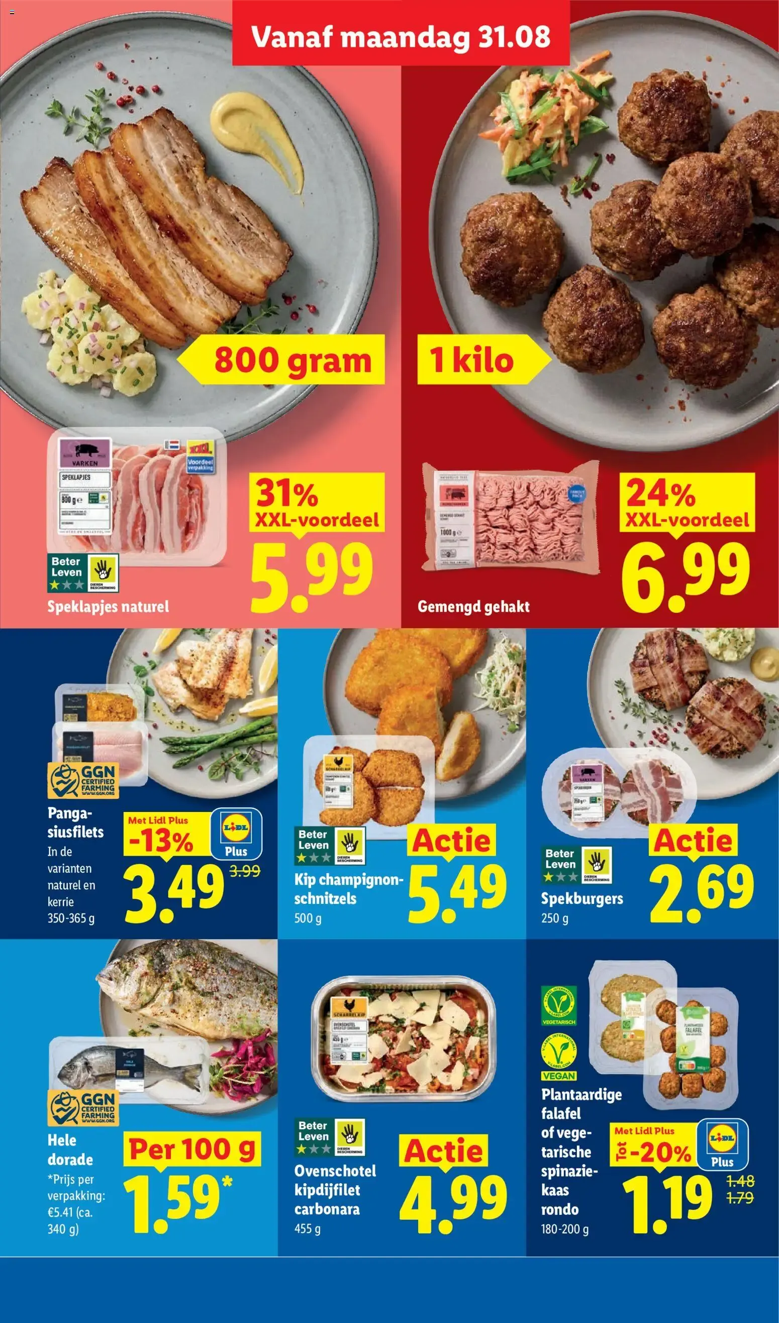 Lidl folder: Spaar voor gratis Lidl Tuintjes van 31 augustus tot 6 september 2026 - Folder pagina 13