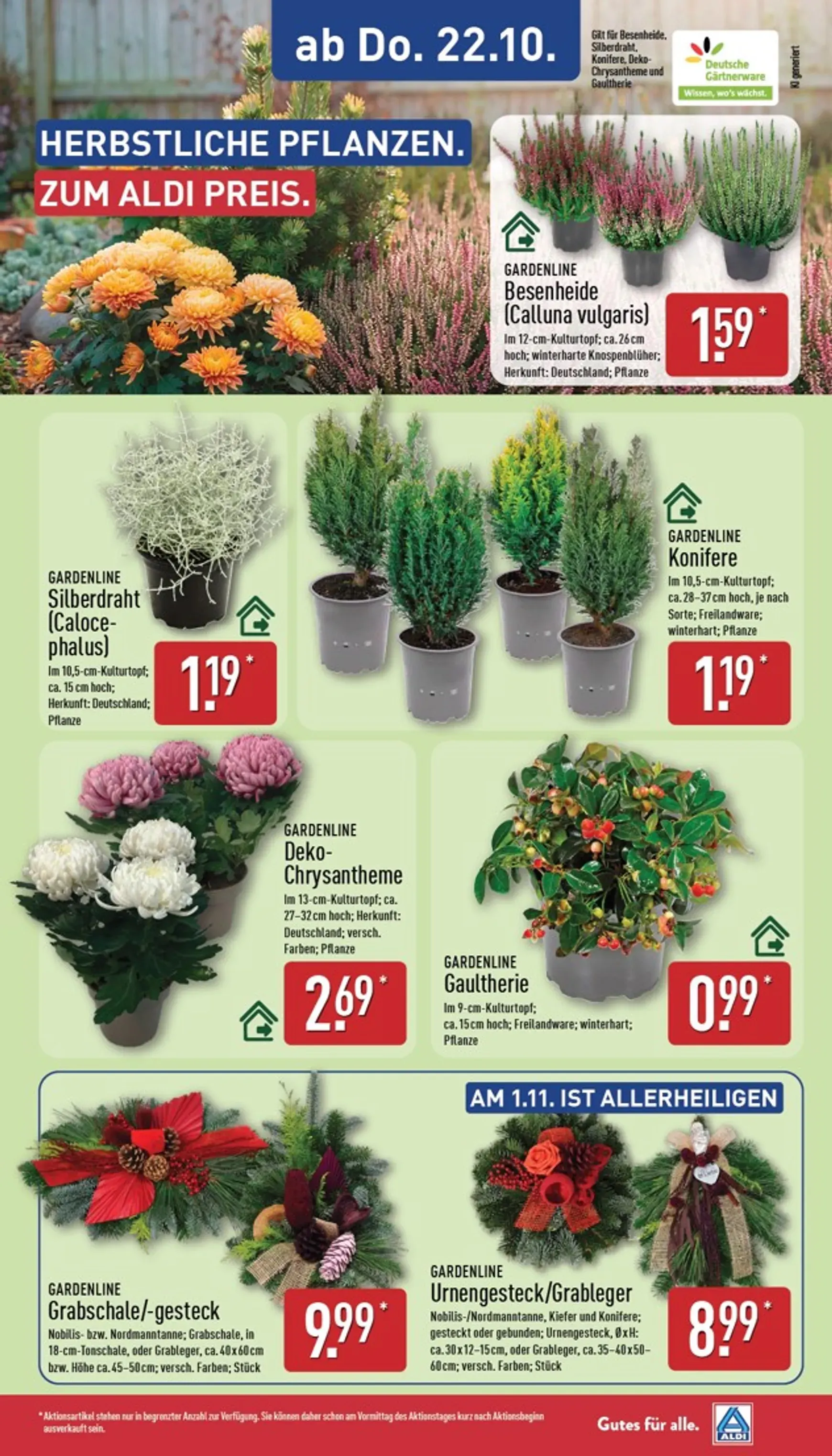ALDI: Gutes für alle. Zum ALDI Preis. von 19. Oktober bis 24. Oktober 2026 - Prospekt seite 29