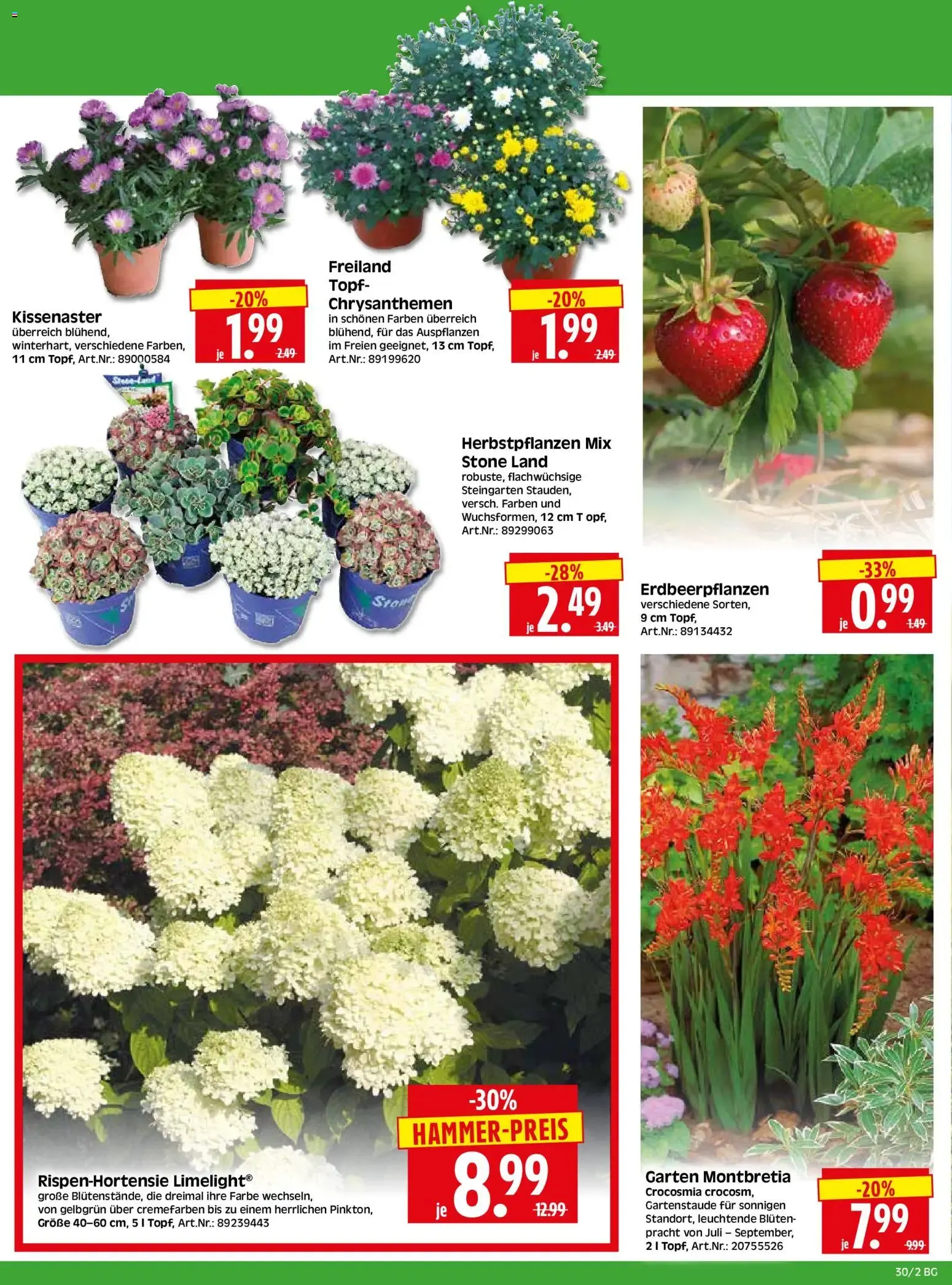 HERKULES Bau & Garten (ab 20.07.2026) zum Blättern von 20. Juli bis 25. Juli 2026 - Prospekt seite 2
