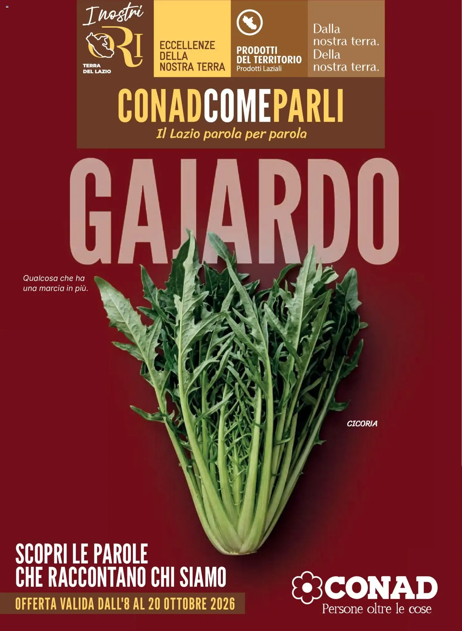 CONADCOMEPARLI GAJARDO da 8 ottobre a 20 ottobre di 2026 - Pagina del volantino 1