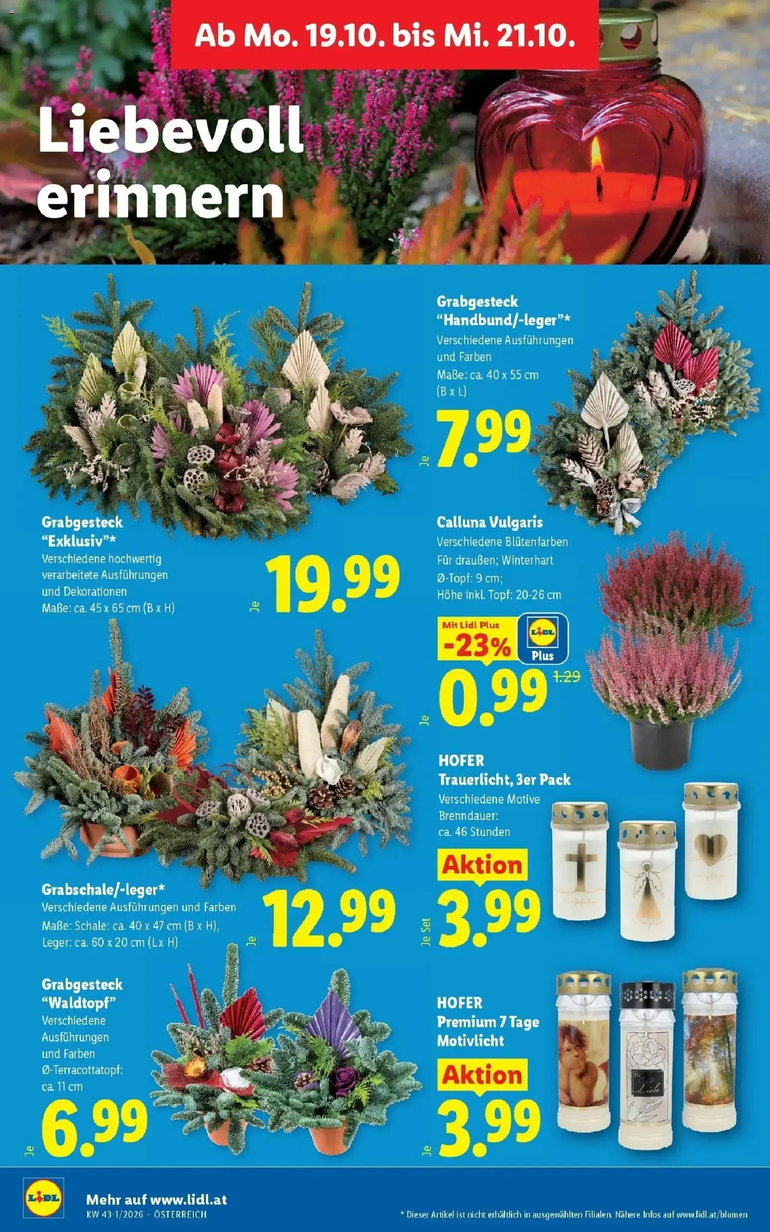Lidl Aktion von 15. Oktober bis 17. Oktober 2026 - Flugblätt seite  33