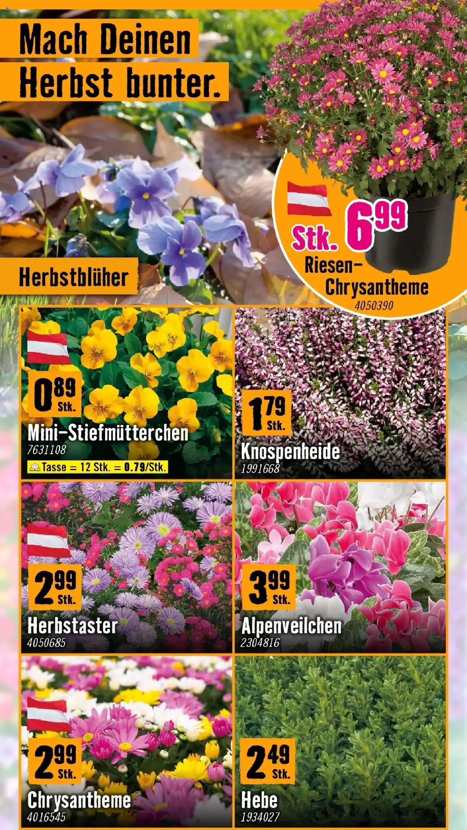 Hornbach Kürzere Tage wecken Deinen Ehrgeiz von 07.10.2026 - Aktuelle Angebote von 7. Oktober bis 30. Oktober 2026 - Flugblätt seite 2