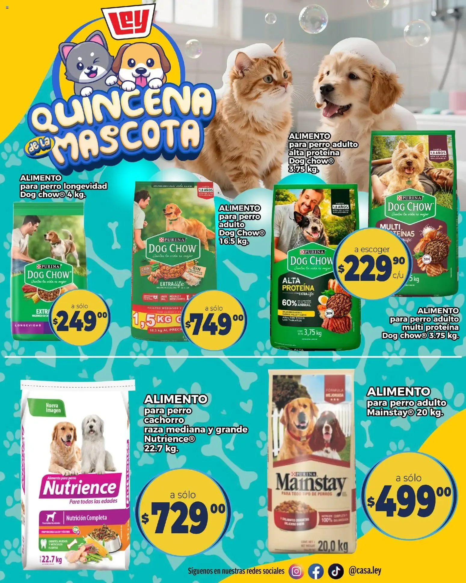 Catálogo de Quincena de la Mascota - Casa Ley 19 de junio al 26 de junio 2026 - Pagina 14