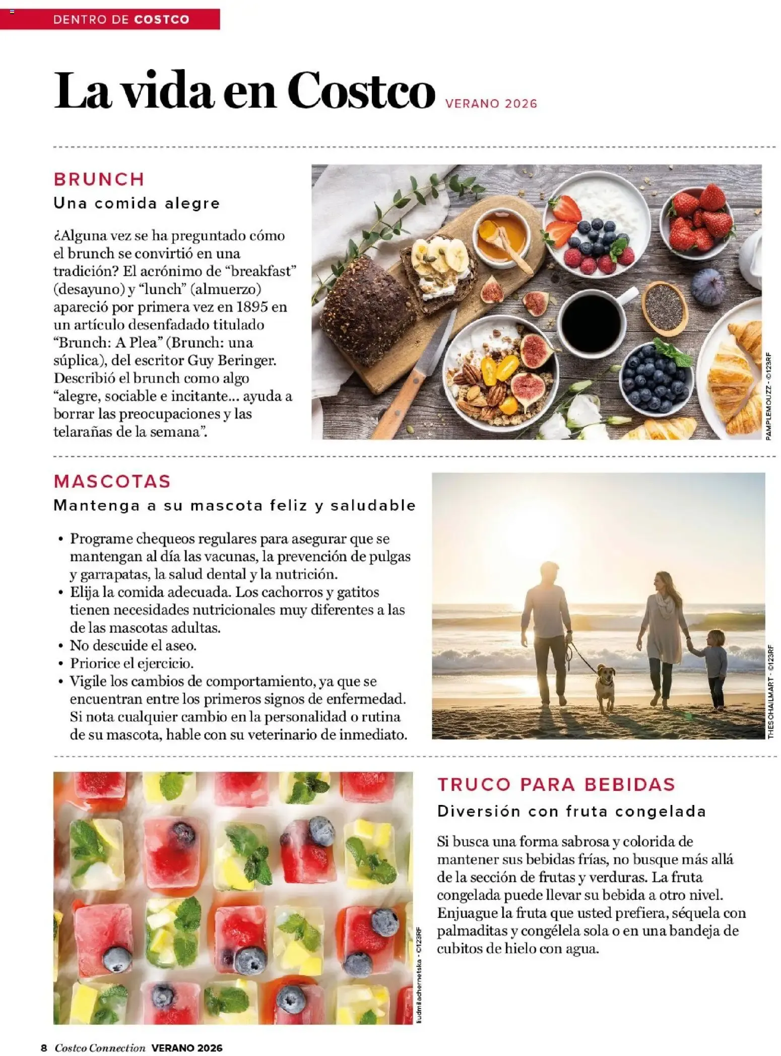 Catálogo de COSTCO Connection 15 de junio al 31 de octubre 2026 - Página 8