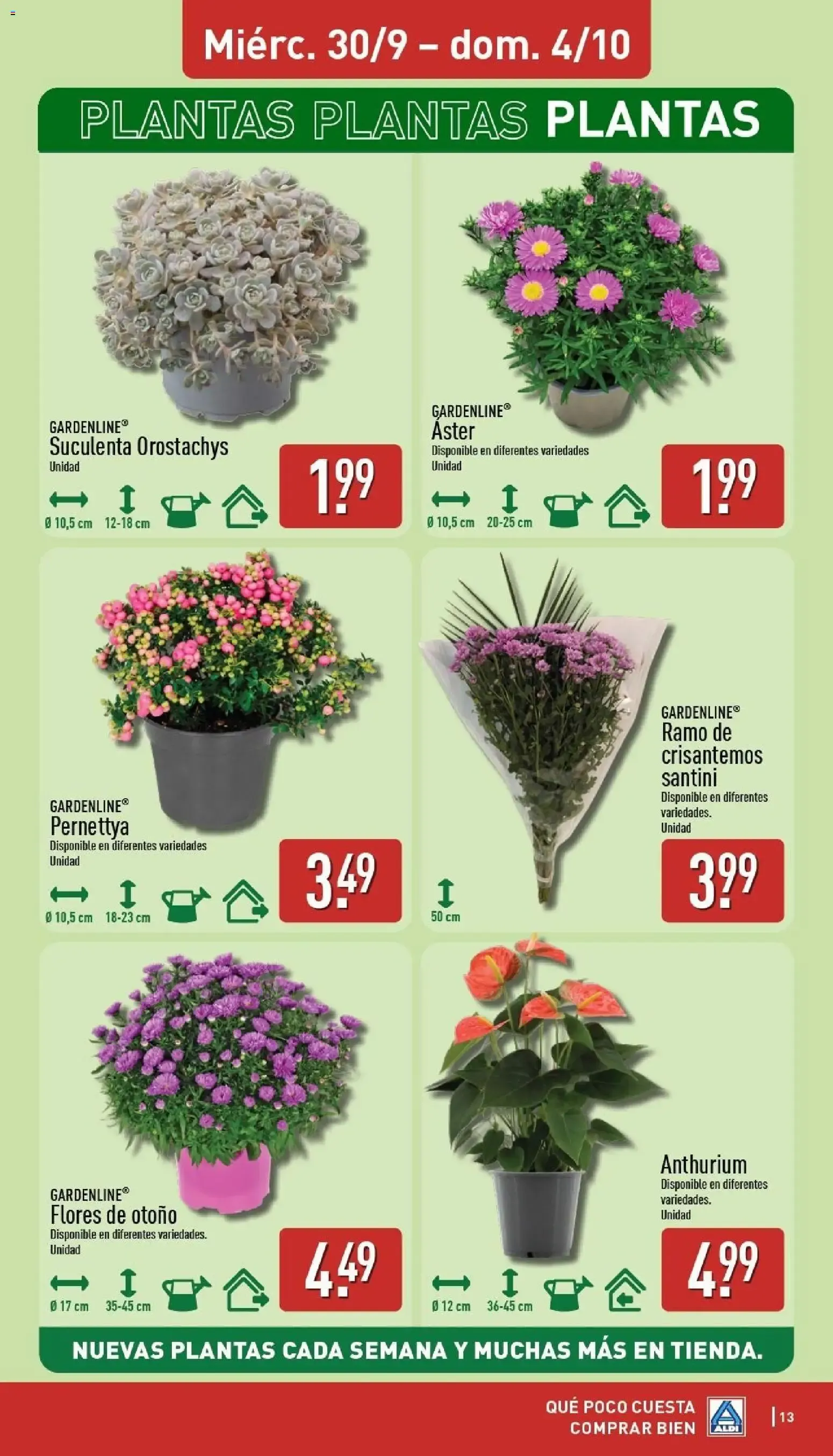 Catálogo de Aldi folleto Península del 28/09/2026 | Catálogo 28 de septiembre al 4 de octubre 2026 - Página 13