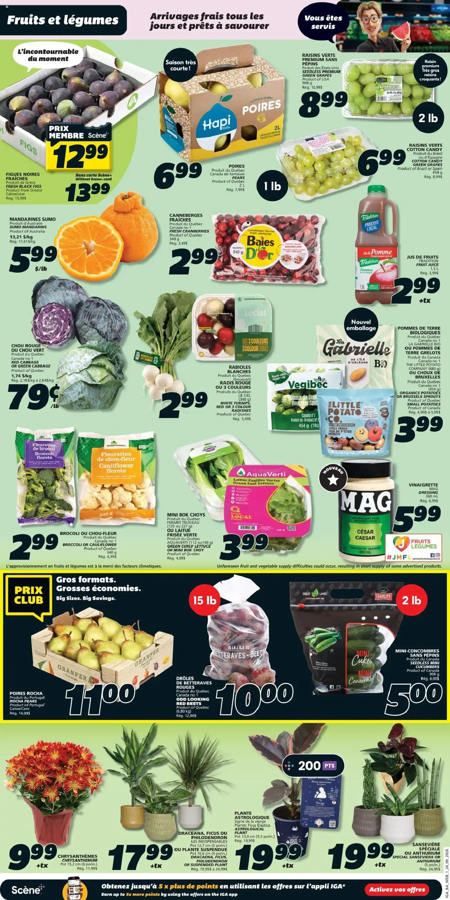 IGA weekly flyer / circulaire from Sep 24, 2026 > weekly specials & deals from September 24 to September 30 2026 - flyer page 3