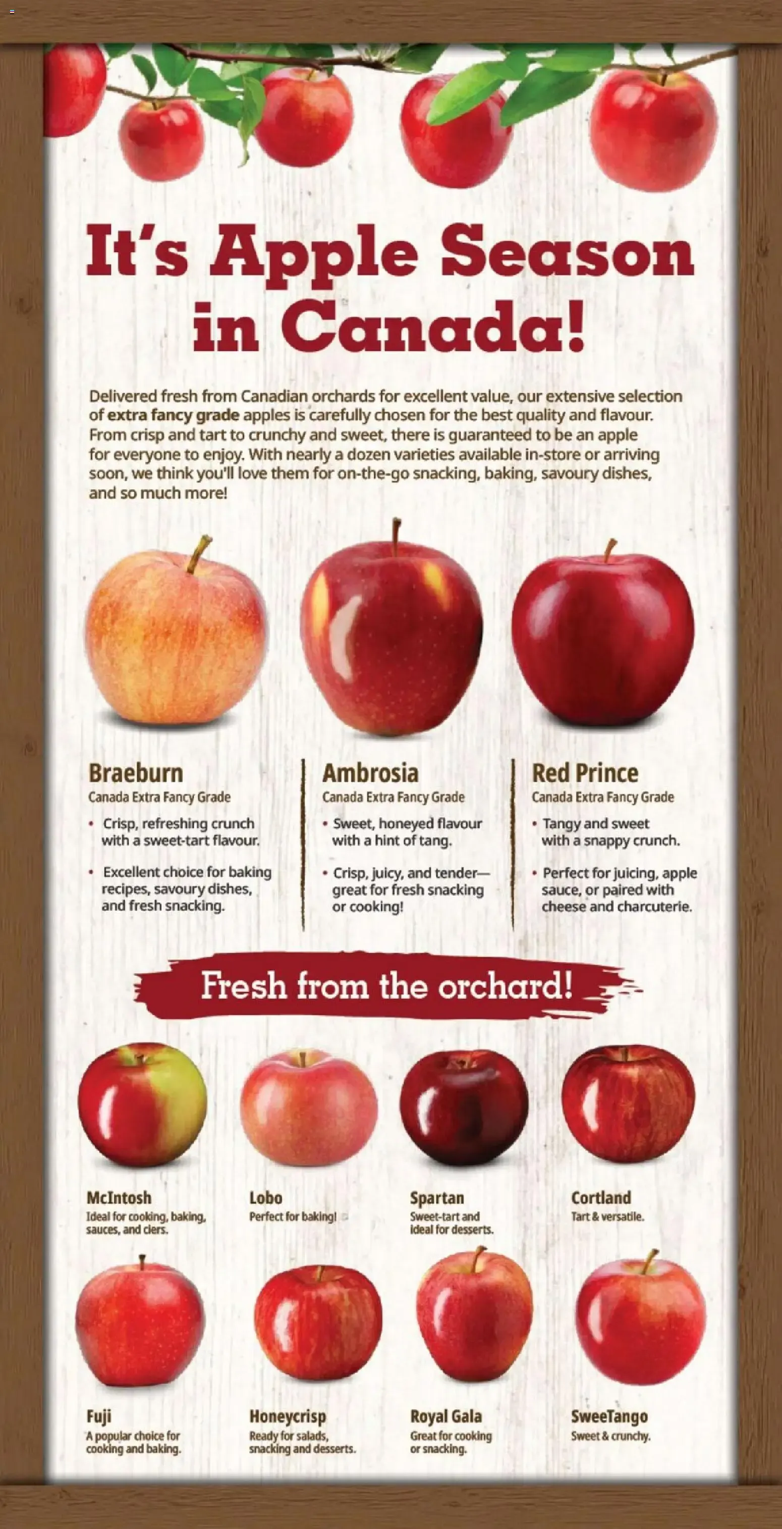Farm Boy weekly flyer / circulaire from Sep 17, 2026 > weekly specials & deals from September 17 to September 23 2026 - flyer page 7