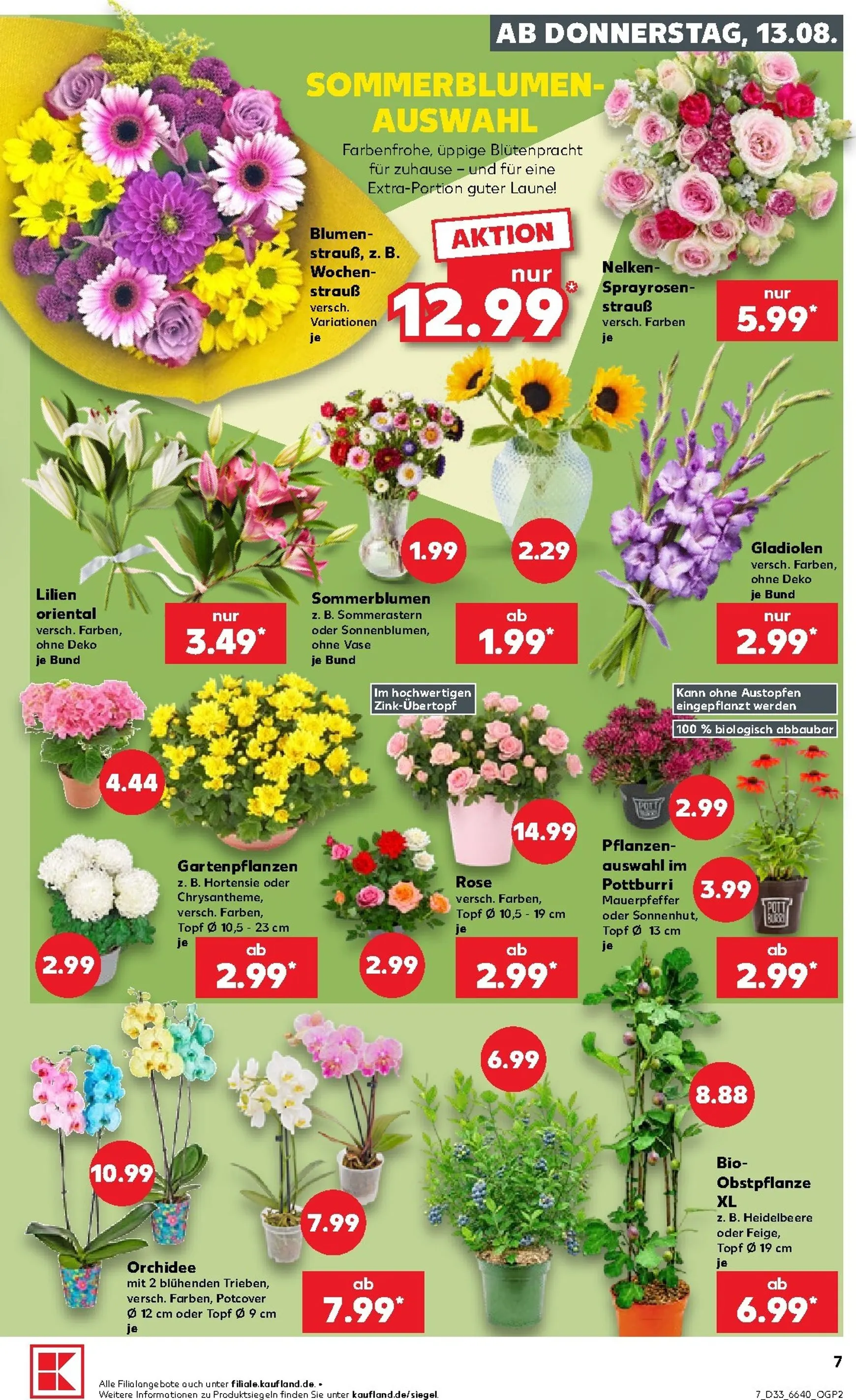 Neuer Kaufland Prospekt – von Donnerstag 13.08.2026 bis Mittwoch 19.08.2026 von 13. August bis 19. August 2026 - Prospekt seite 7