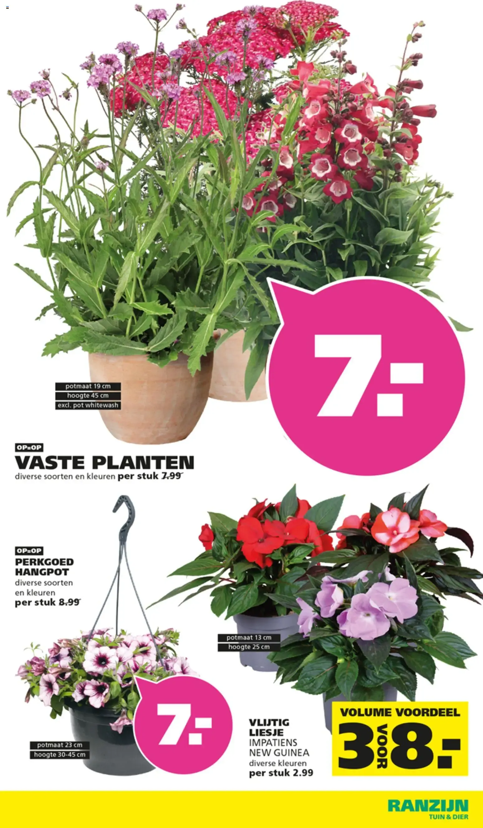 Ranzijn: Royaal Voordeel van 31 mei tot 13 juni 2026 - Folder pagina 14