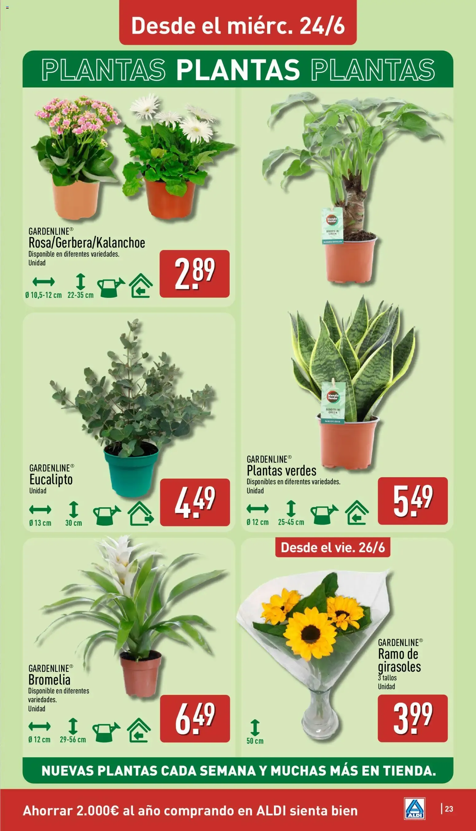 Catálogo de Aldi: Un Baño de Sabor al Mejor Precio 22 de junio al 28 de junio 2026 - Página 23