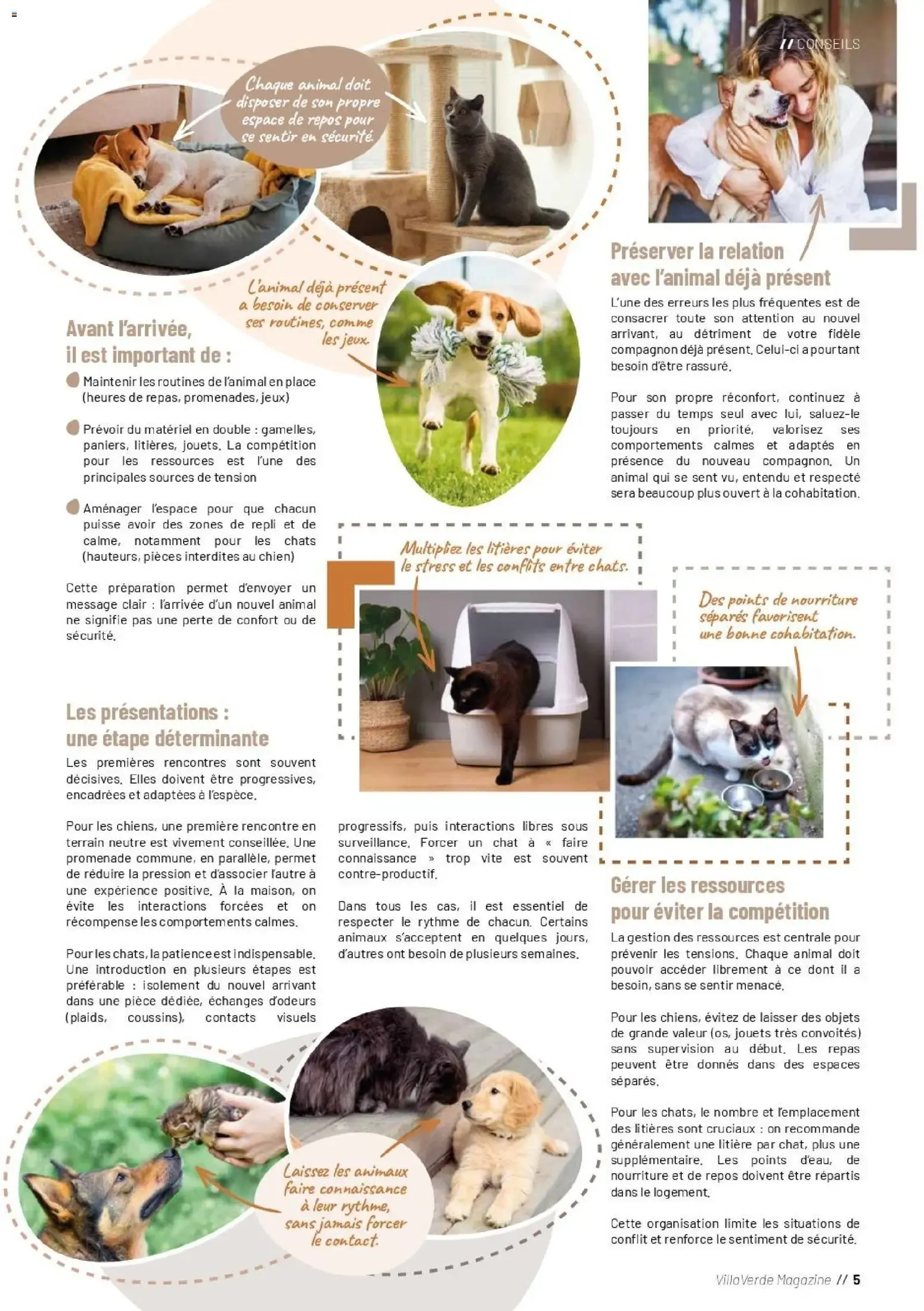 VillaVerde MAGAZINE ANIMALERIE 2026 du 28 mai au 31 août 2026 - Catalogue page 5