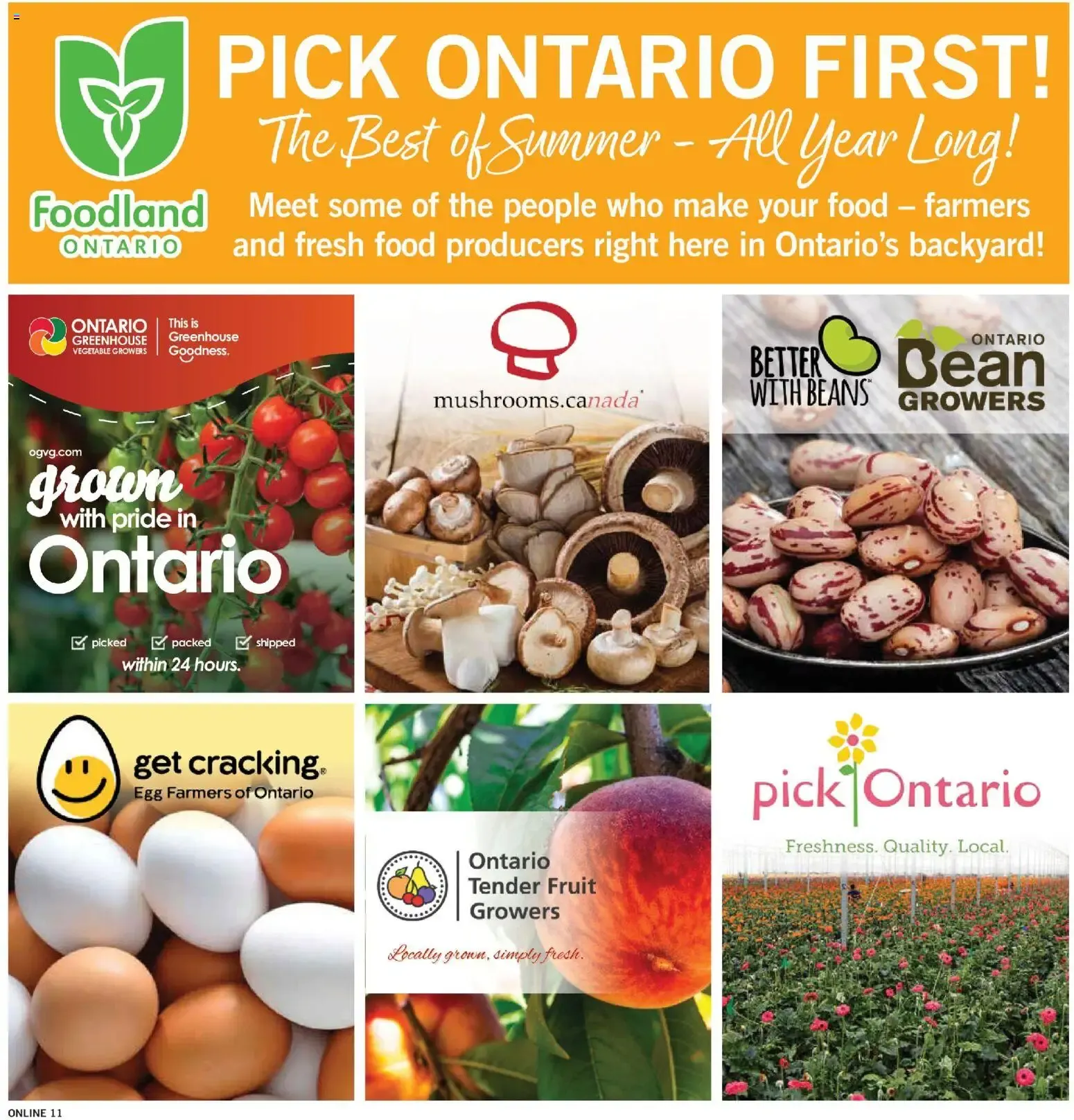 Fortinos weekly flyer / circulaire from August 6 to August 12 2026 - flyer page 11