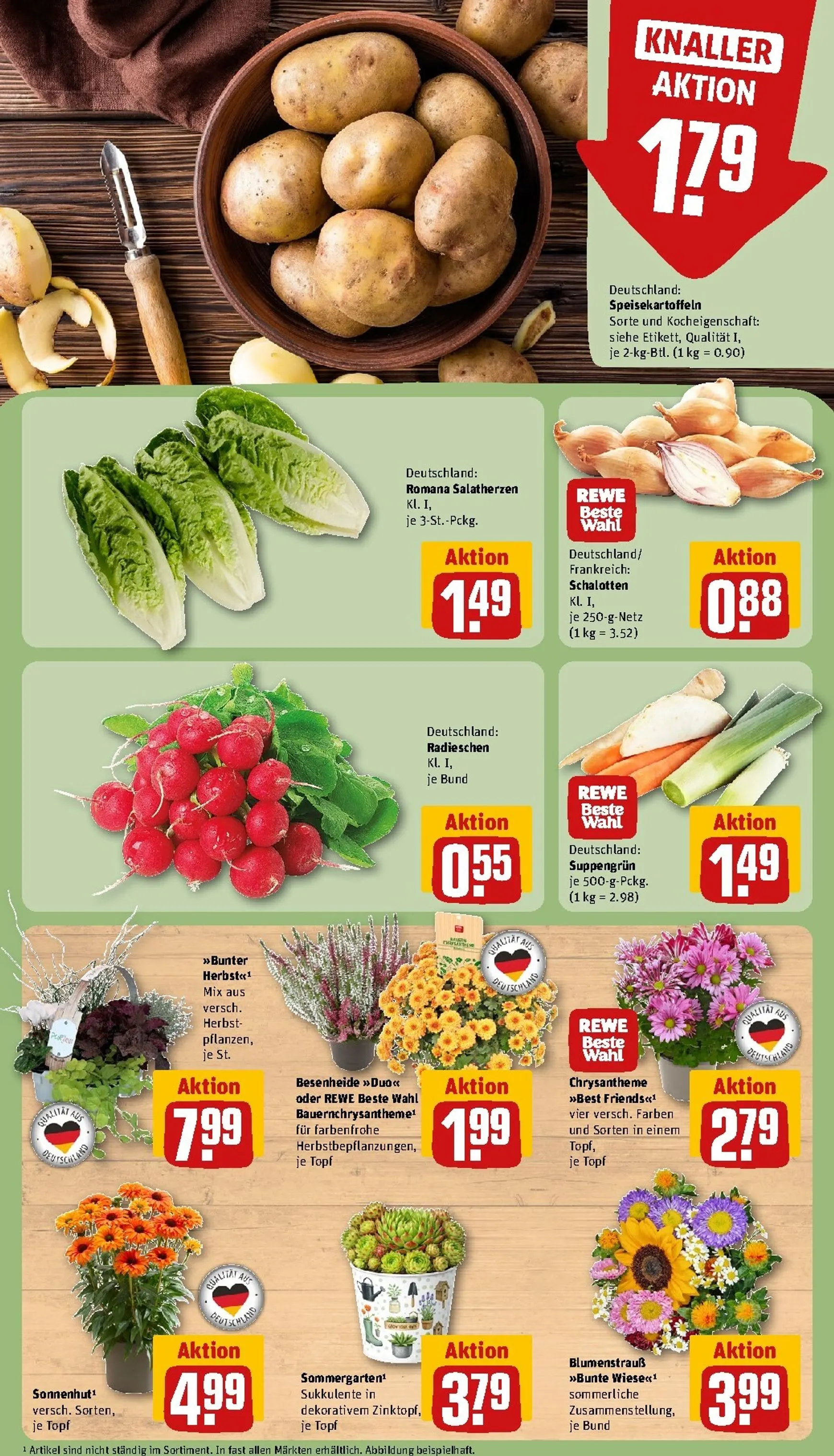 Rewe Prospekt nächste Woche – von Montag 07.09.2026 bis Sonntag 13.09.2026 von 7. September bis 13. September 2026 - Prospekt seite 7