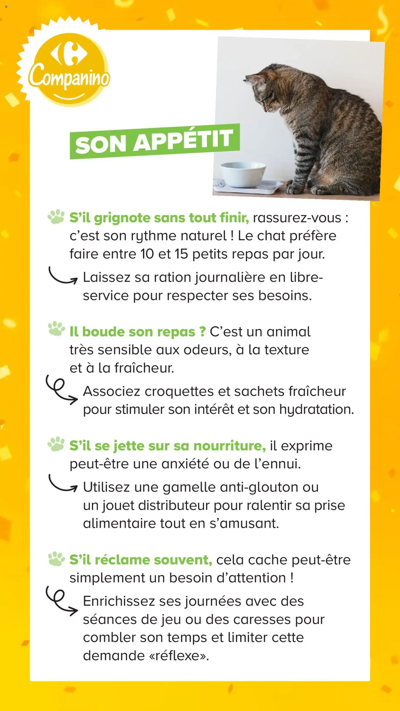 Carrefour Market Découvrez la marque carrefour companino à partir du 04/08/2026 - promo en ligne du 4 août au 7 septembre 2026 - Catalogue page 16