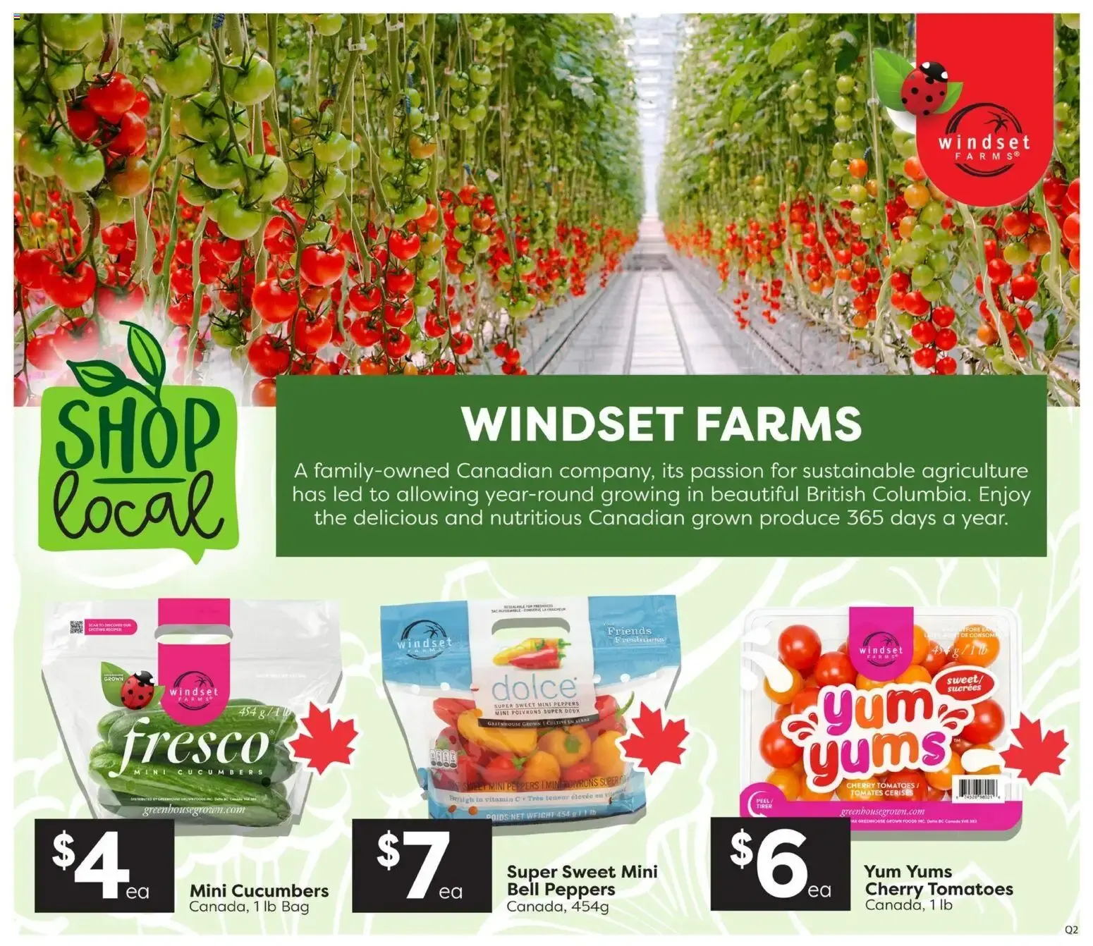 Quality Foods weekly flyer / circulaire from Jun 11, 2026 > weekly specials & deals from June 11 to June 17 2026 - flyer page 3