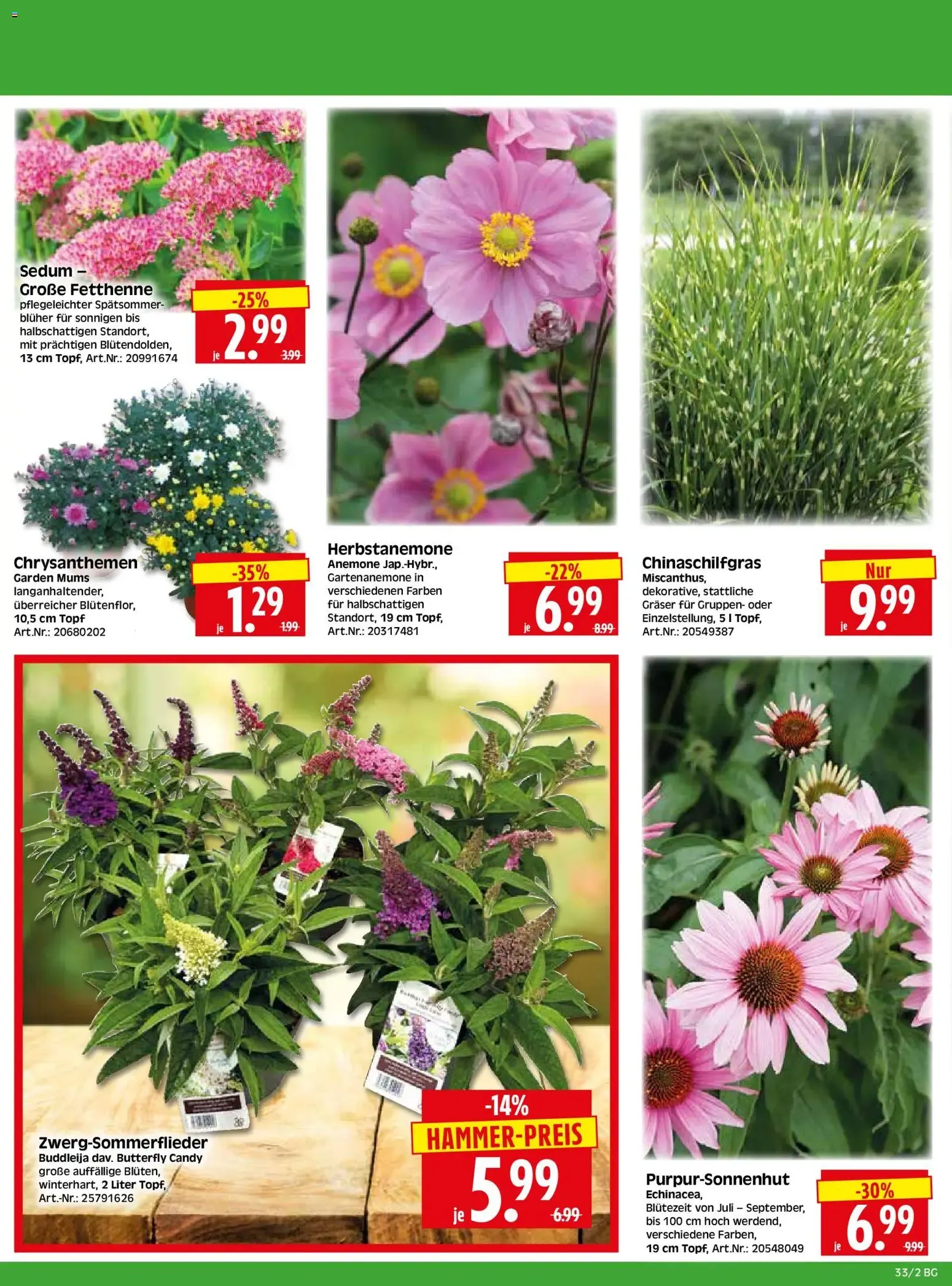 HERKULES Bau & Garten von 10. August bis 15. August 2026 - Prospekt seite 2