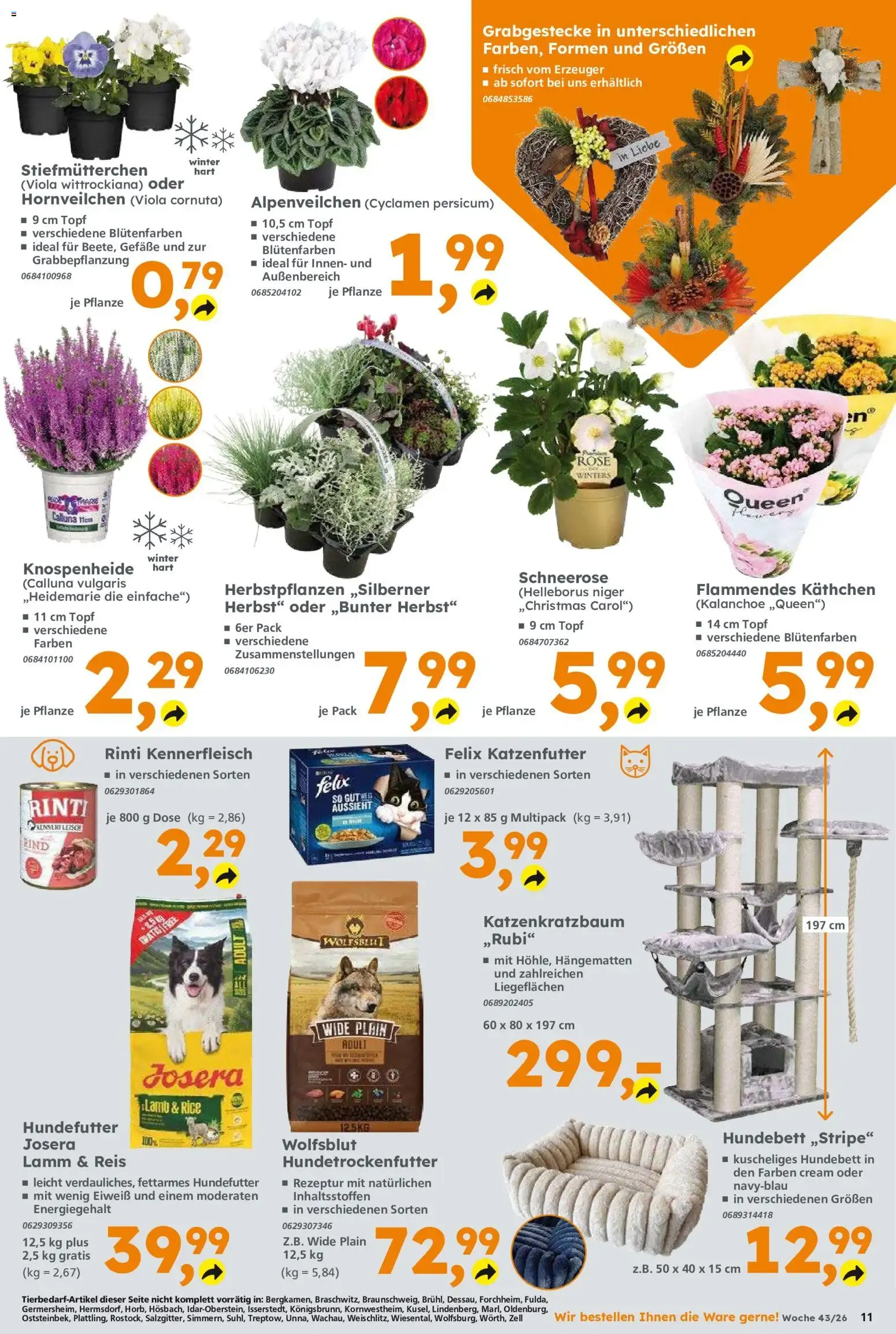 Globus Baumarkt von 19. Oktober bis 24. Oktober 2026 - Prospekt seite 11