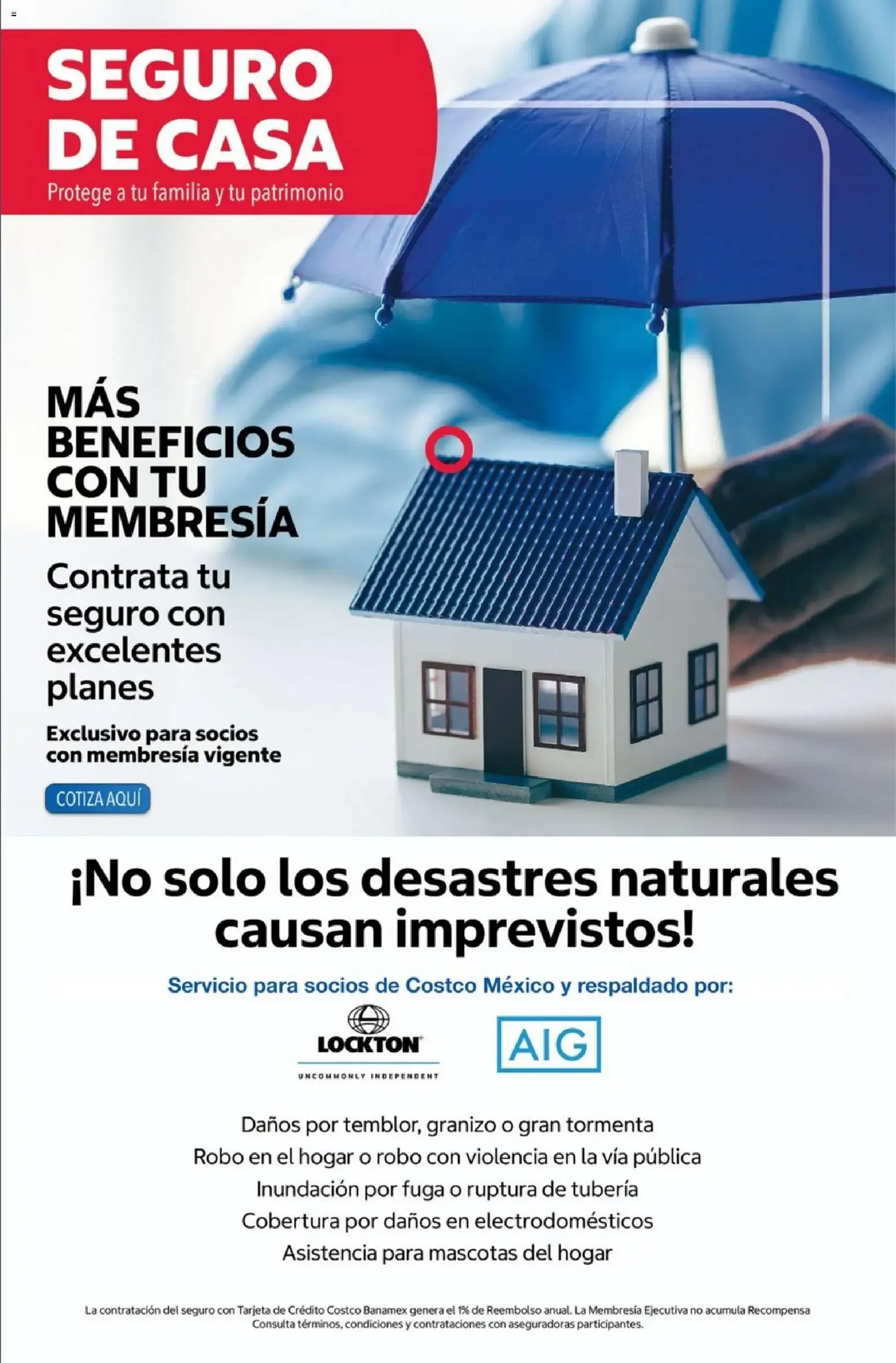 Catálogo de COSTCO Contacto 1 de agosto al 31 de agosto 2026 - Pagina 10
