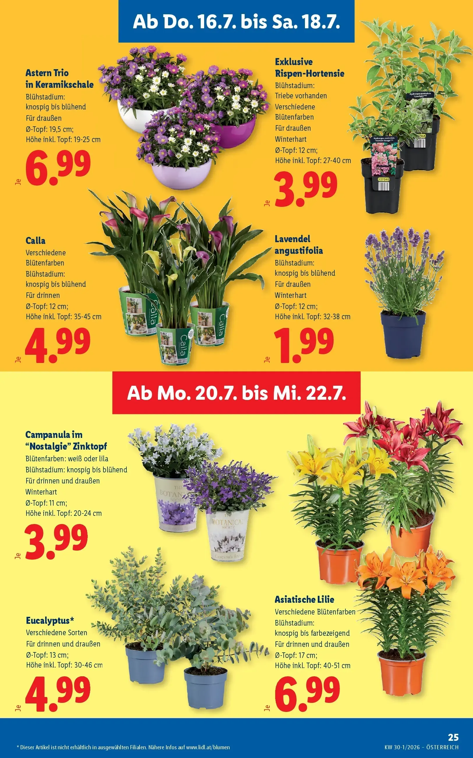 Lidl - Lidl ab 15.07.2026 - Angebote ab donnerstag von 16. Juli bis 18. Juli 2026 - Flugblätt seite  29