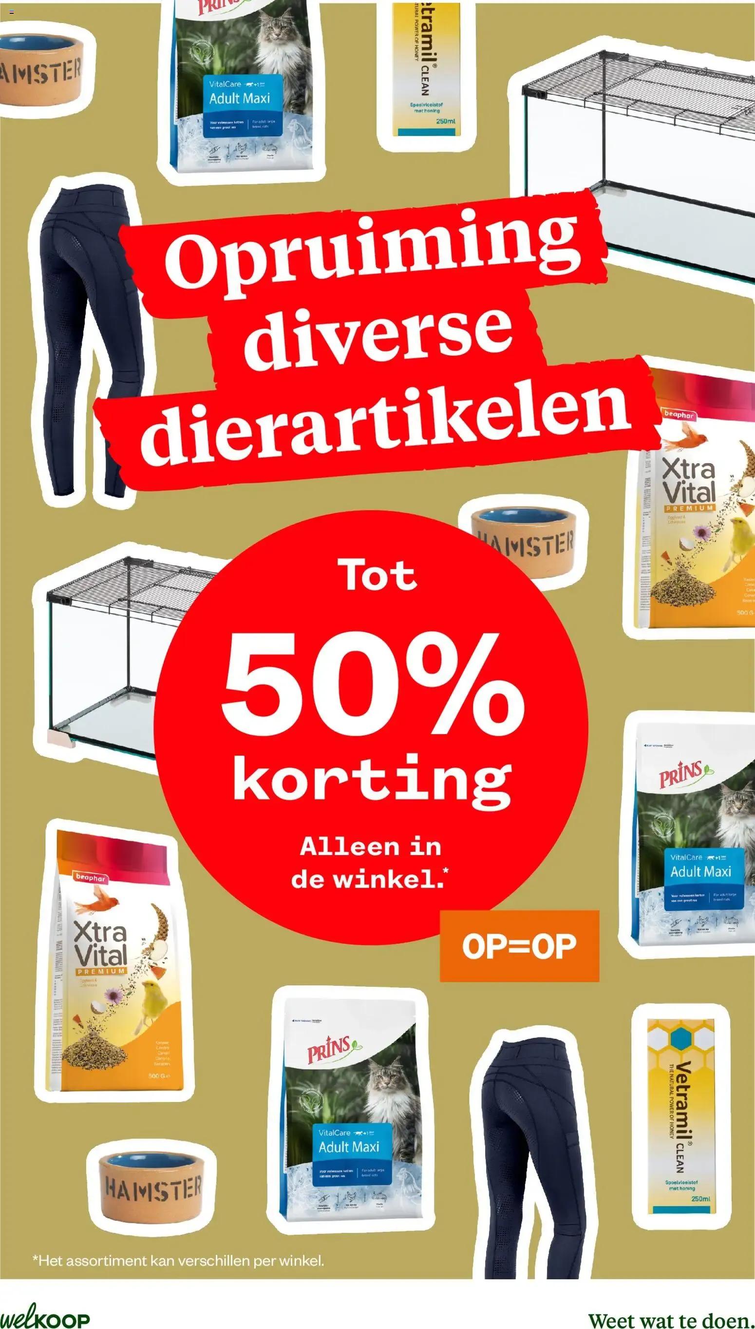 Welkoop Pallet voordeel van 24 augustus tot 6 september 2026 - Folder pagina 11
