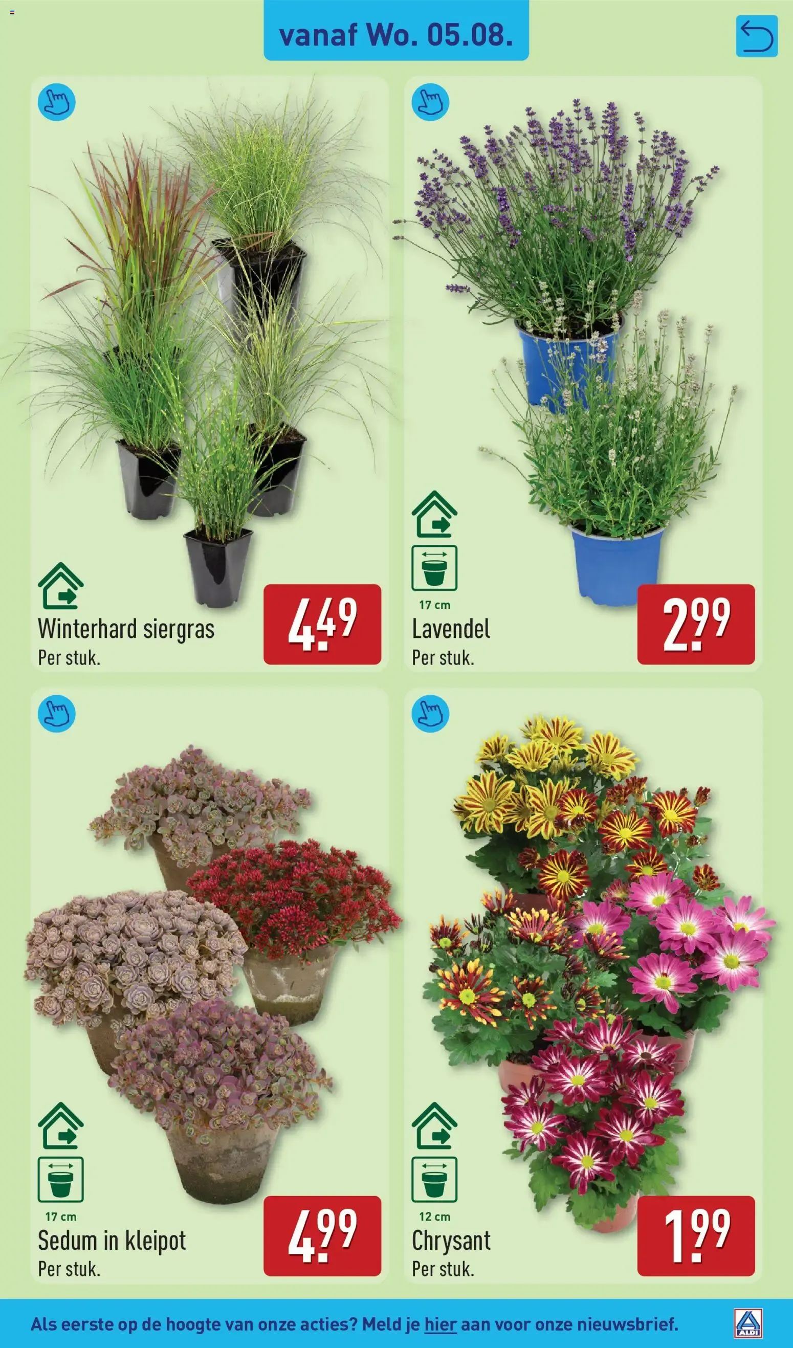 Aldi folder vanaf 03-08-2026 (volgende, deze week) van 3 augustus tot 9 augustus 2026 - Folder pagina 30