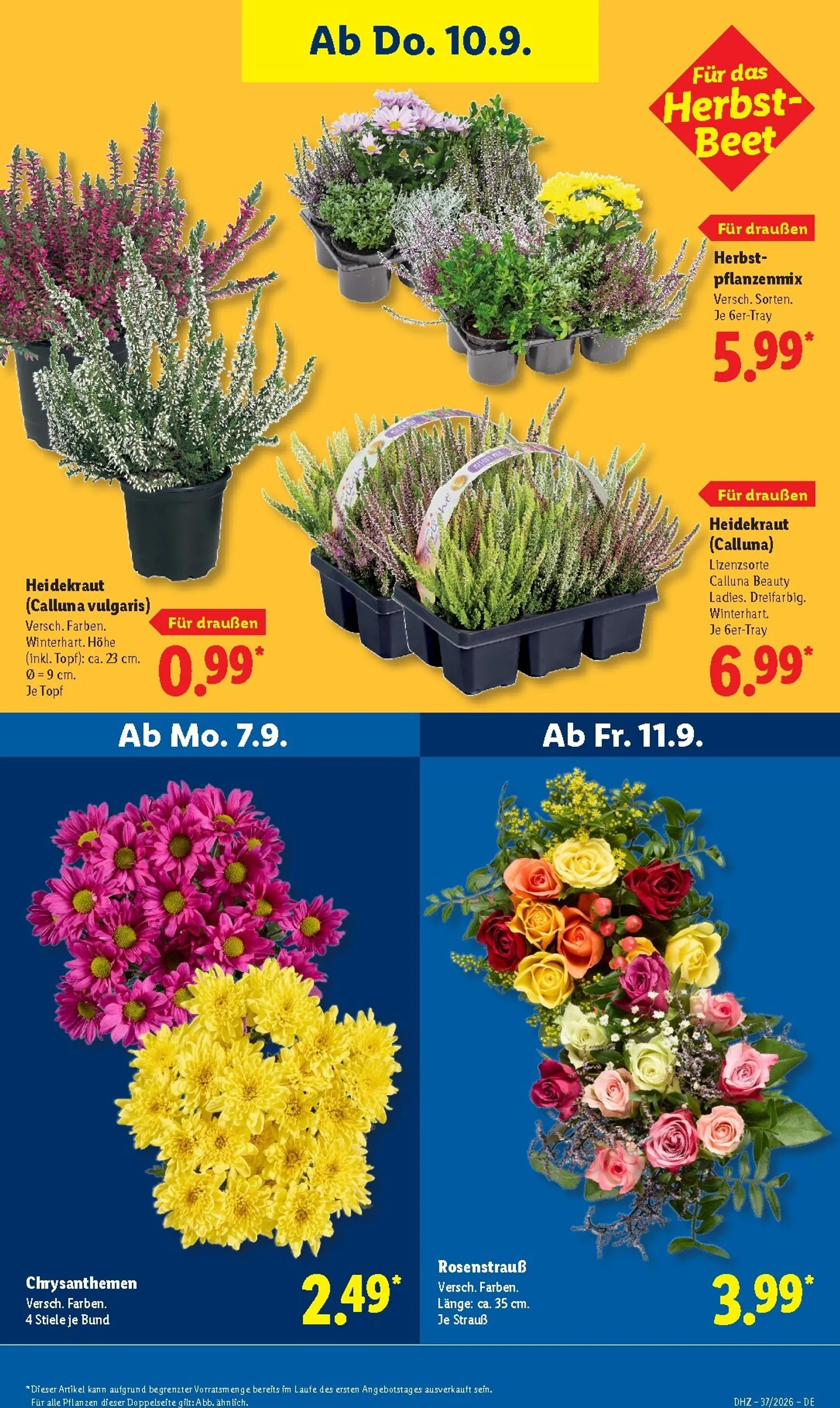 Lidl Prospekt – von Montag 07.09.2026 bis Samstag 12.09.2026 von 7. September bis 12. September 2026 - Prospekt seite 28