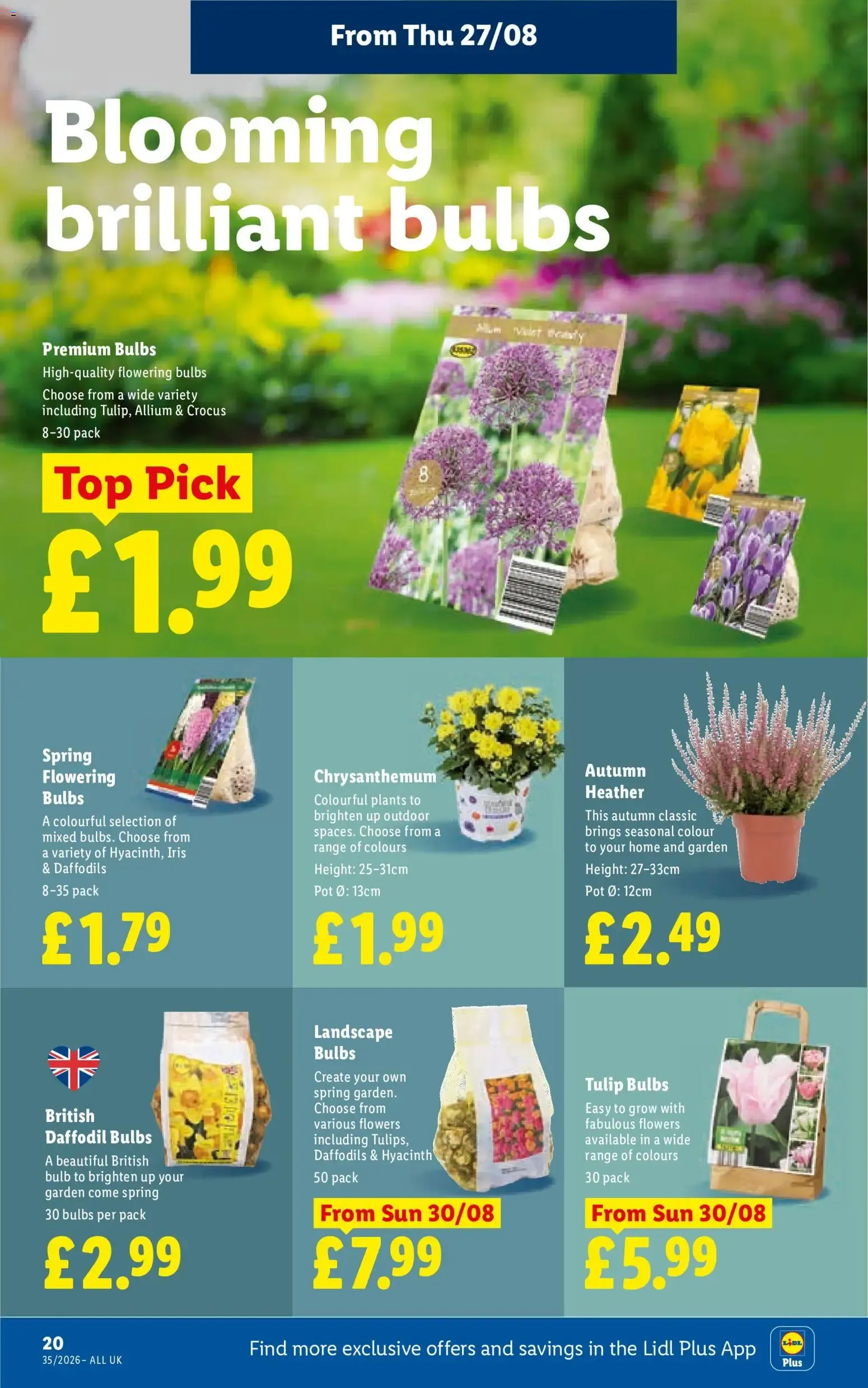 Ofertas Semanales Lidl - Serving a slice of Italy from 27 August to 2 September 2026 - Catalogue Page 22
