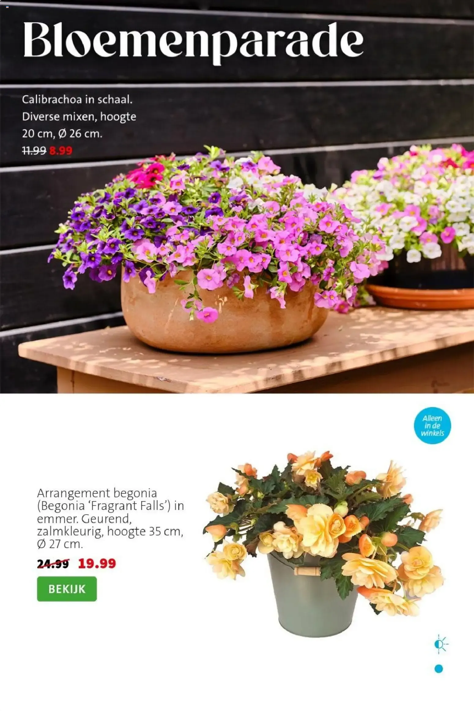 Intratuin Planten-feestje van 20 juli tot 26 juli 2026 - Folder pagina 4
