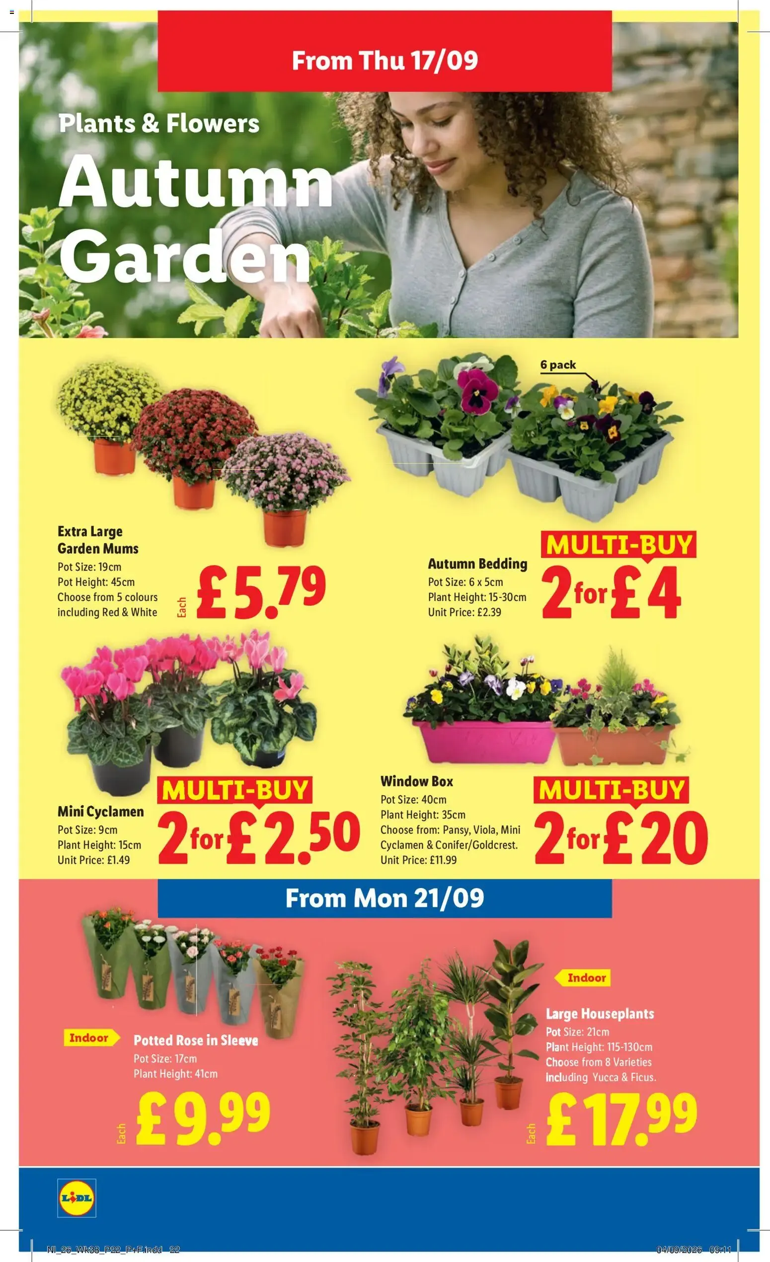 Lidl - Big Brands (17/09/2026 - 23/09/2026) - Offers Online from 17 September to 23 September 2026 - Catalogue Page 22