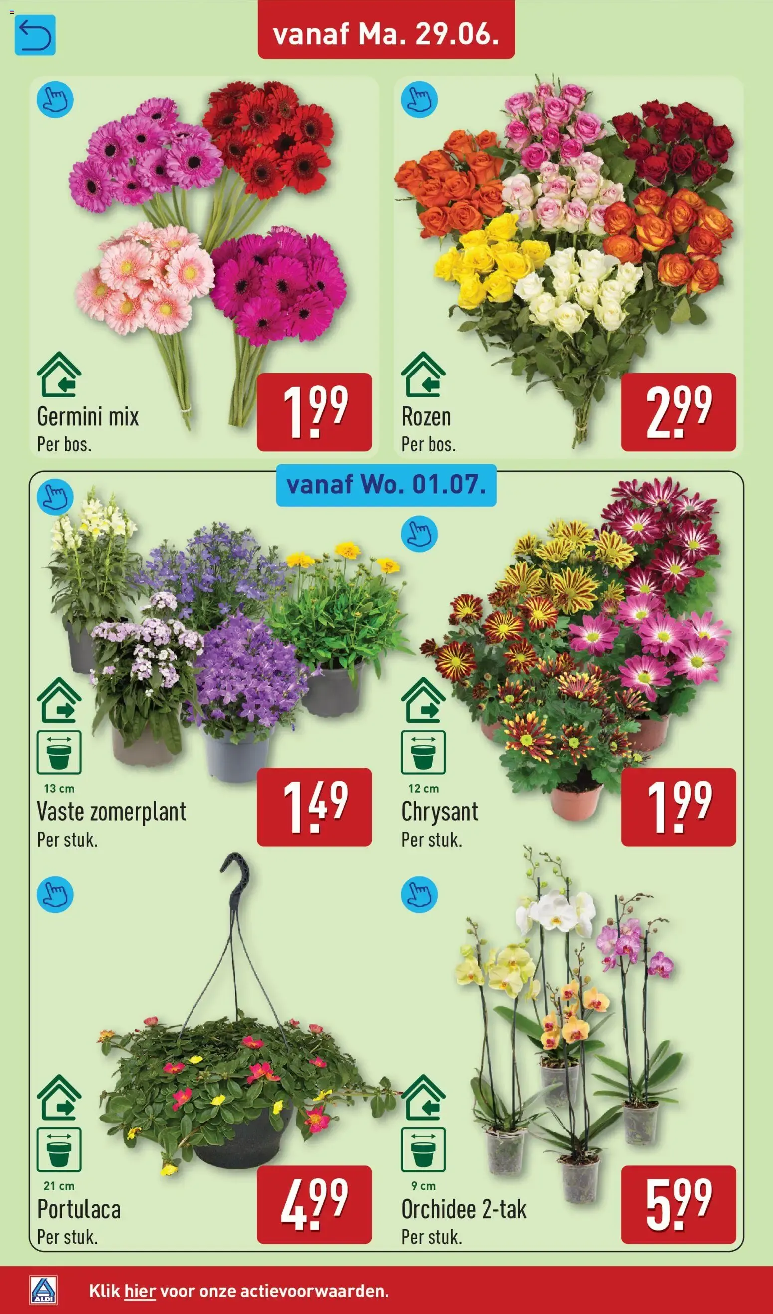 Aldi folder vanaf 29-06-2026 (volgende, deze week) van 29 juni tot 5 juli 2026 - Folder pagina 32