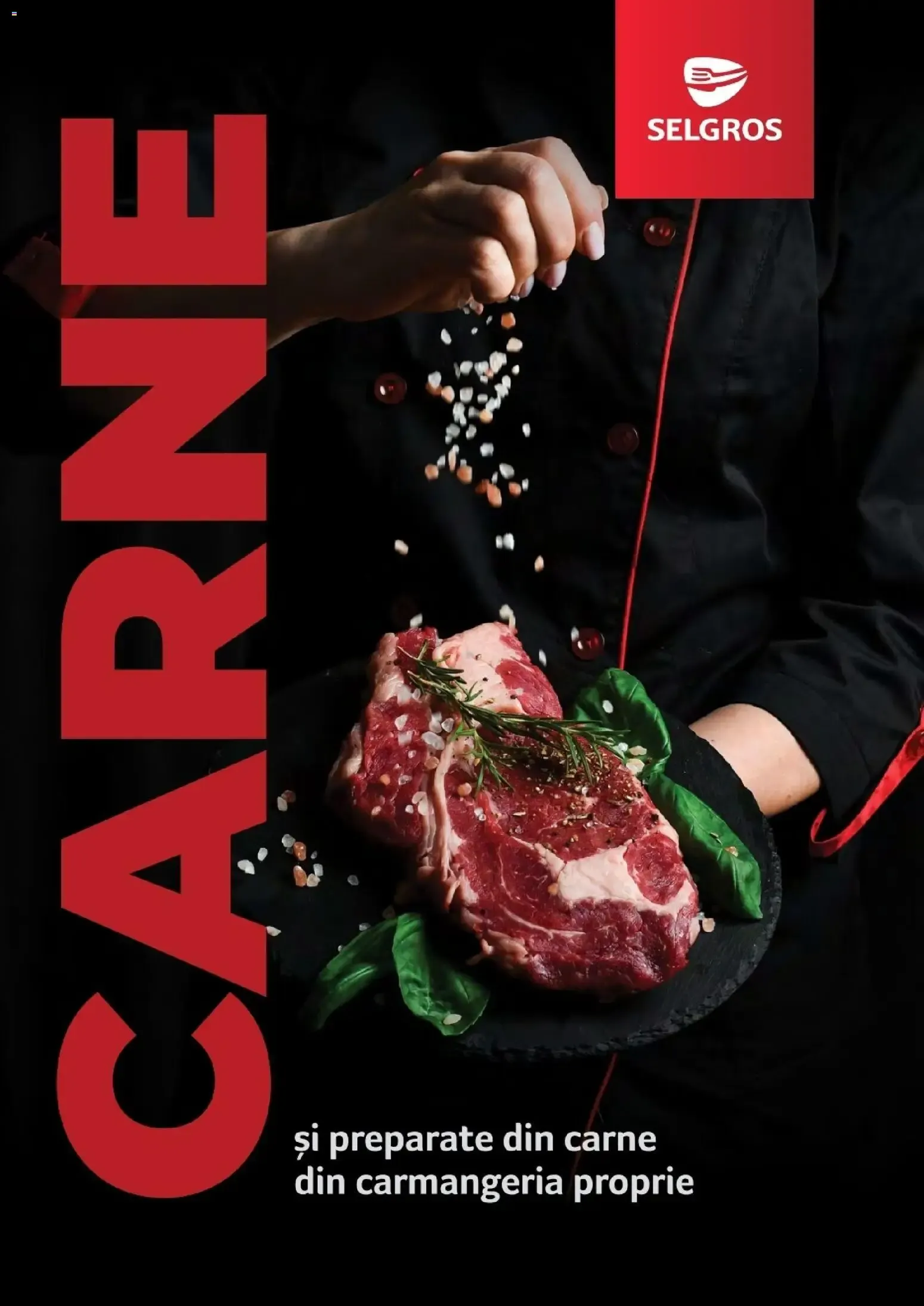 Catalog Selgros Catalog Carne de la 25 martie până la 31 martie 2027 - Revista Pagina 1