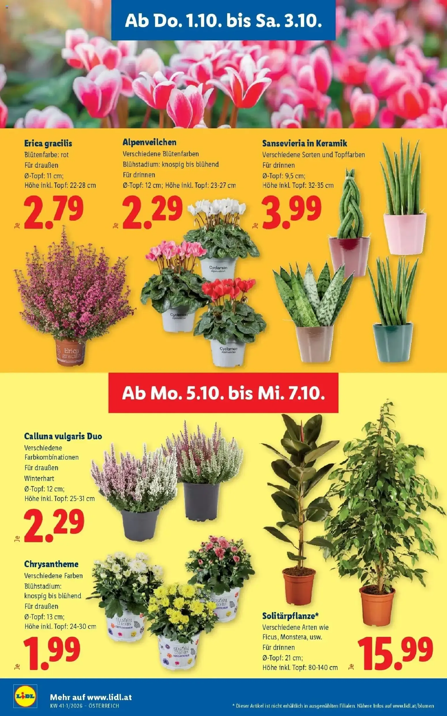 Lidl Aktion von 1. Oktober bis 3. Oktober 2026 - Flugblätt seite  30